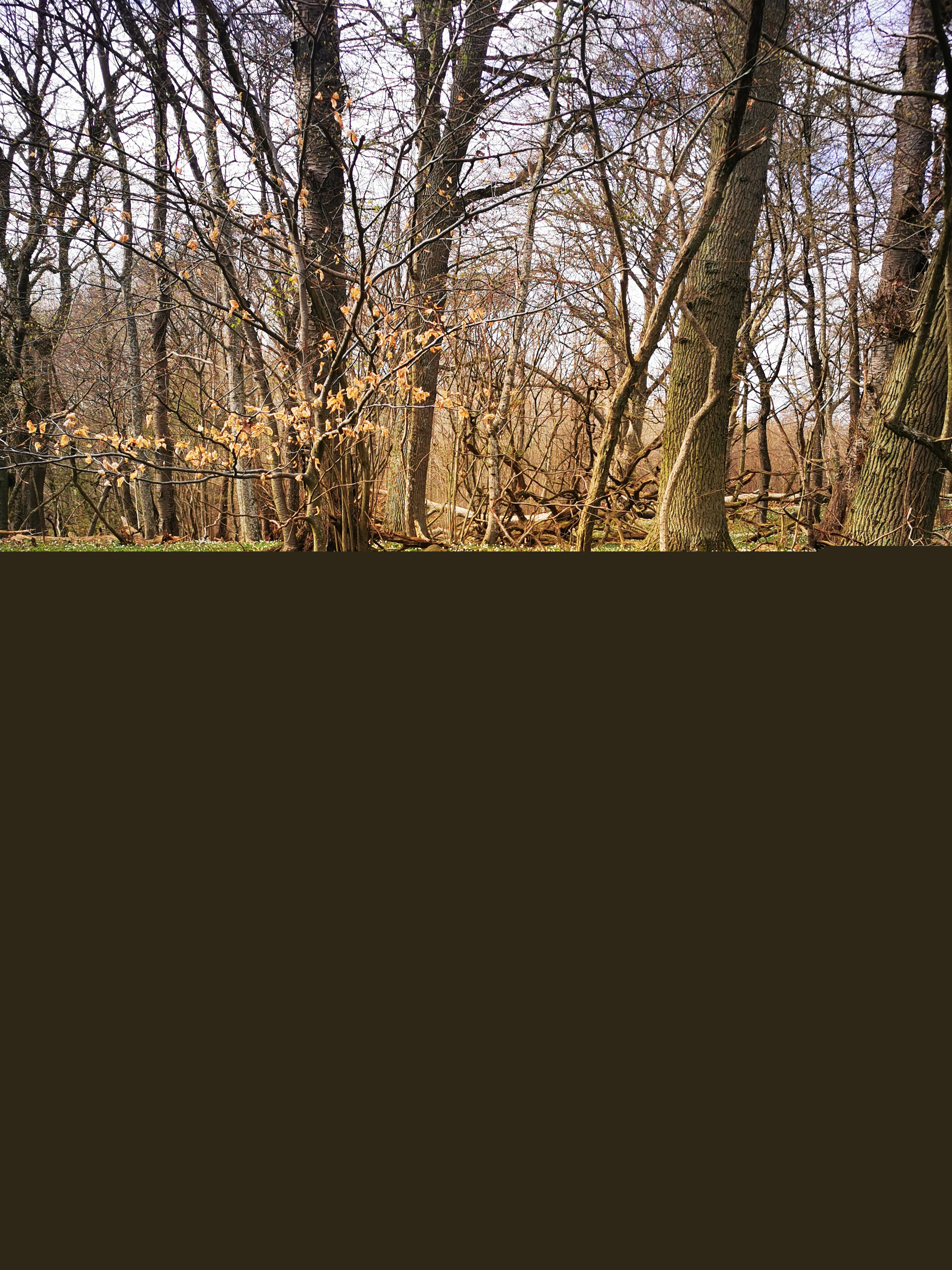 IMG_20250412_155817.jpg