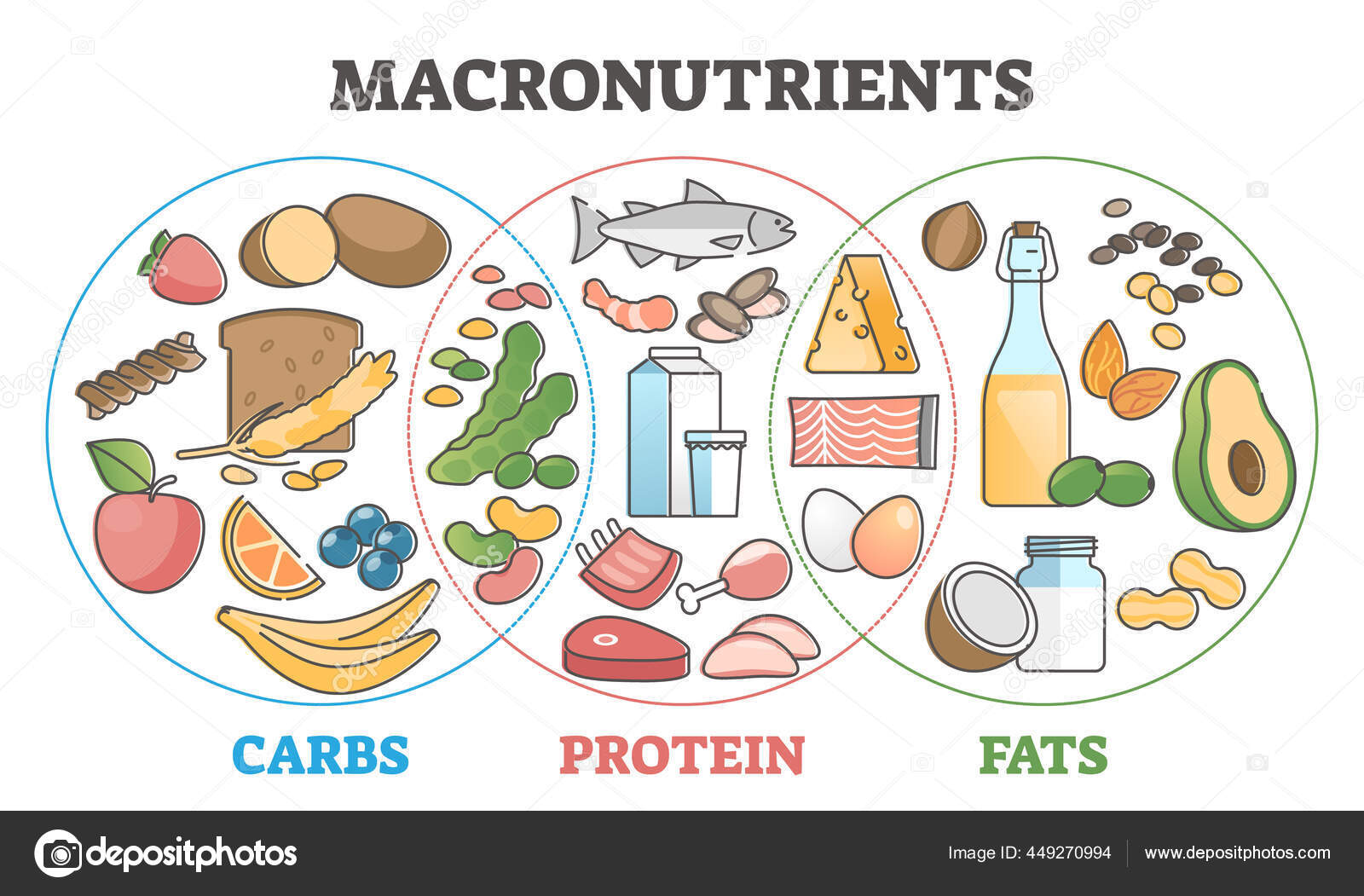 depositphotos_449270994-stock-illustration-macronutrients-educational-diet-with-carbs.jpg