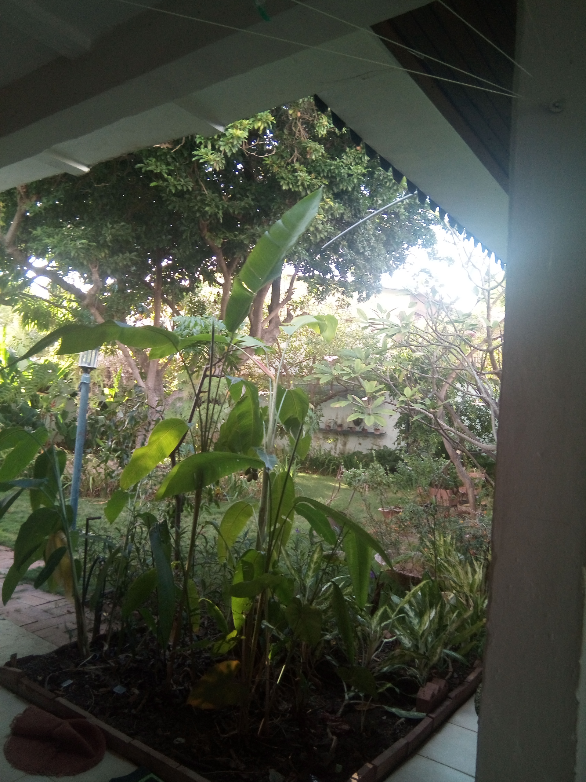 IMG-20220129-WA0048.jpeg