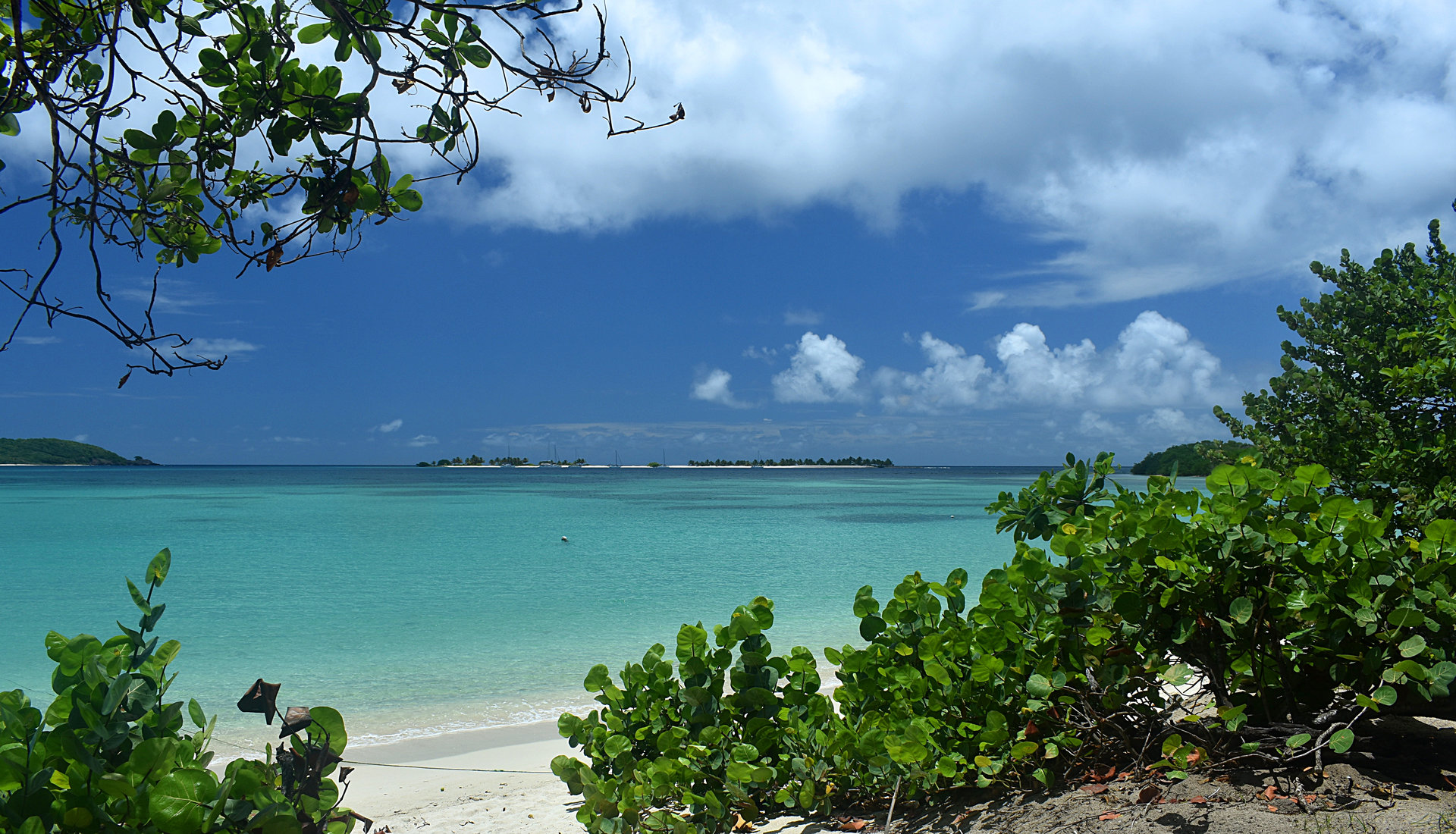 Carriacou-06.jpg
