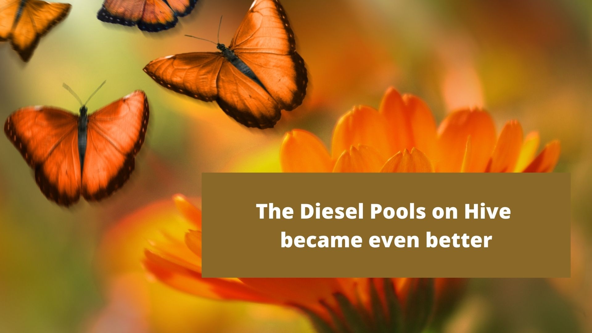 diesel pools.jpg