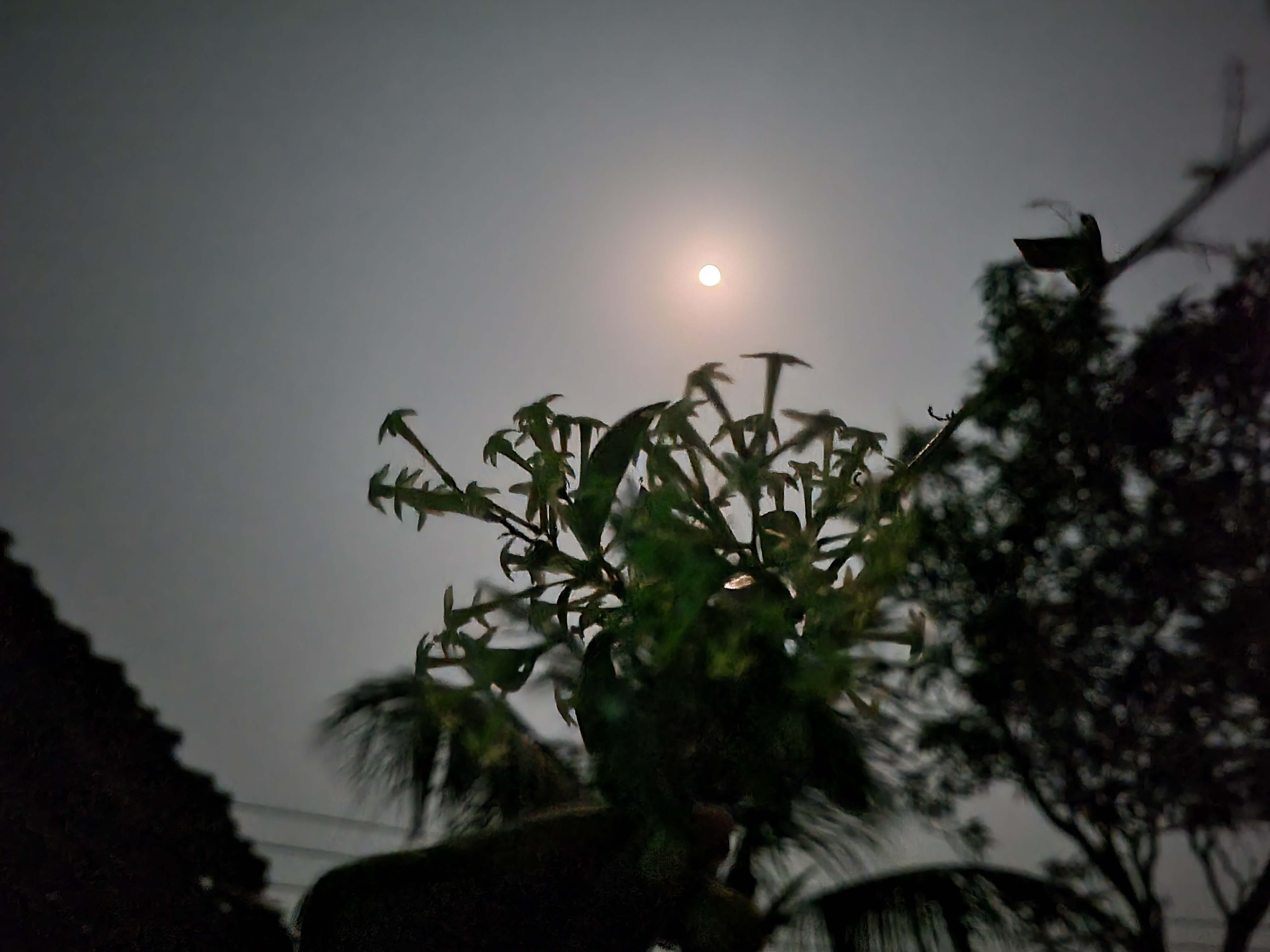 20250311_203435.jpg
