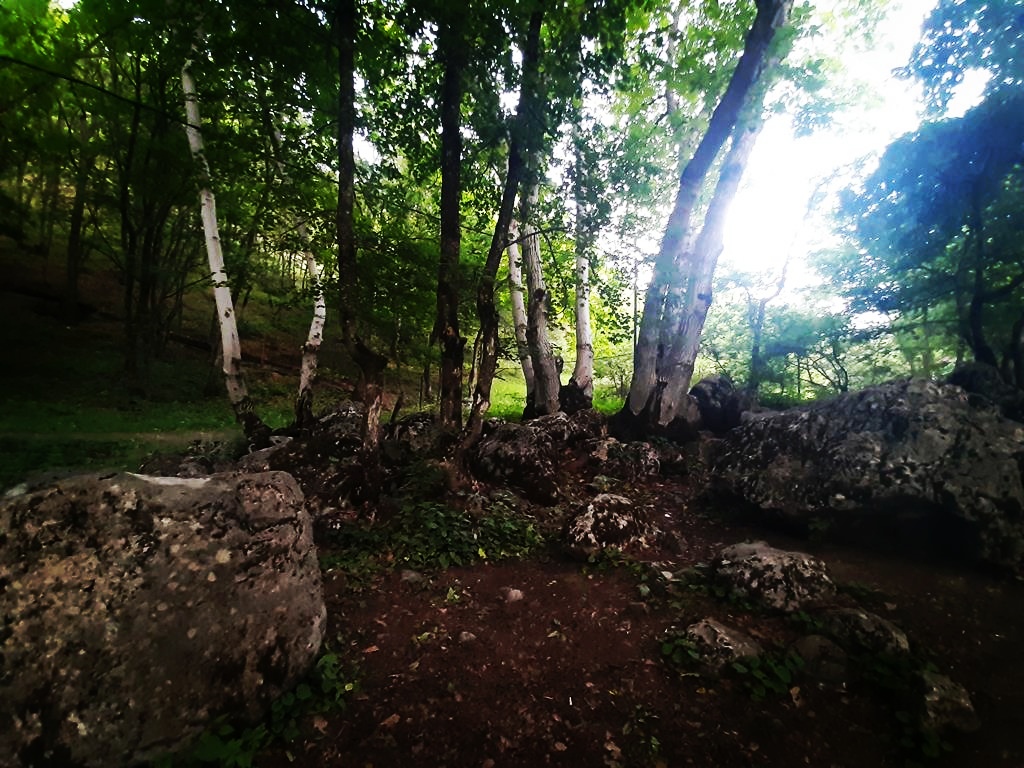 20250530_190905_edit_318073867036879.jpg