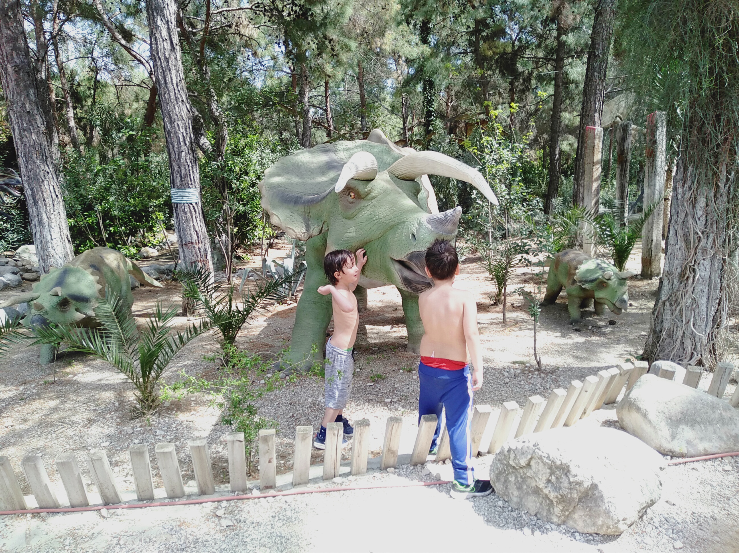 IMG20220416141611.jpg