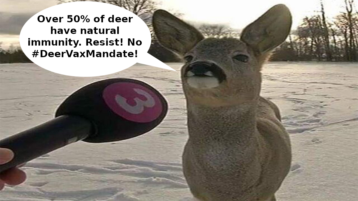 deercover.jpg