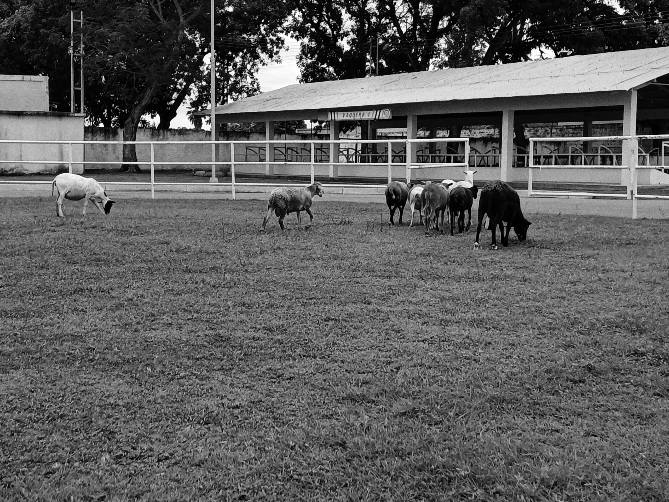IMG-20250813-WA0068-01.jpeg