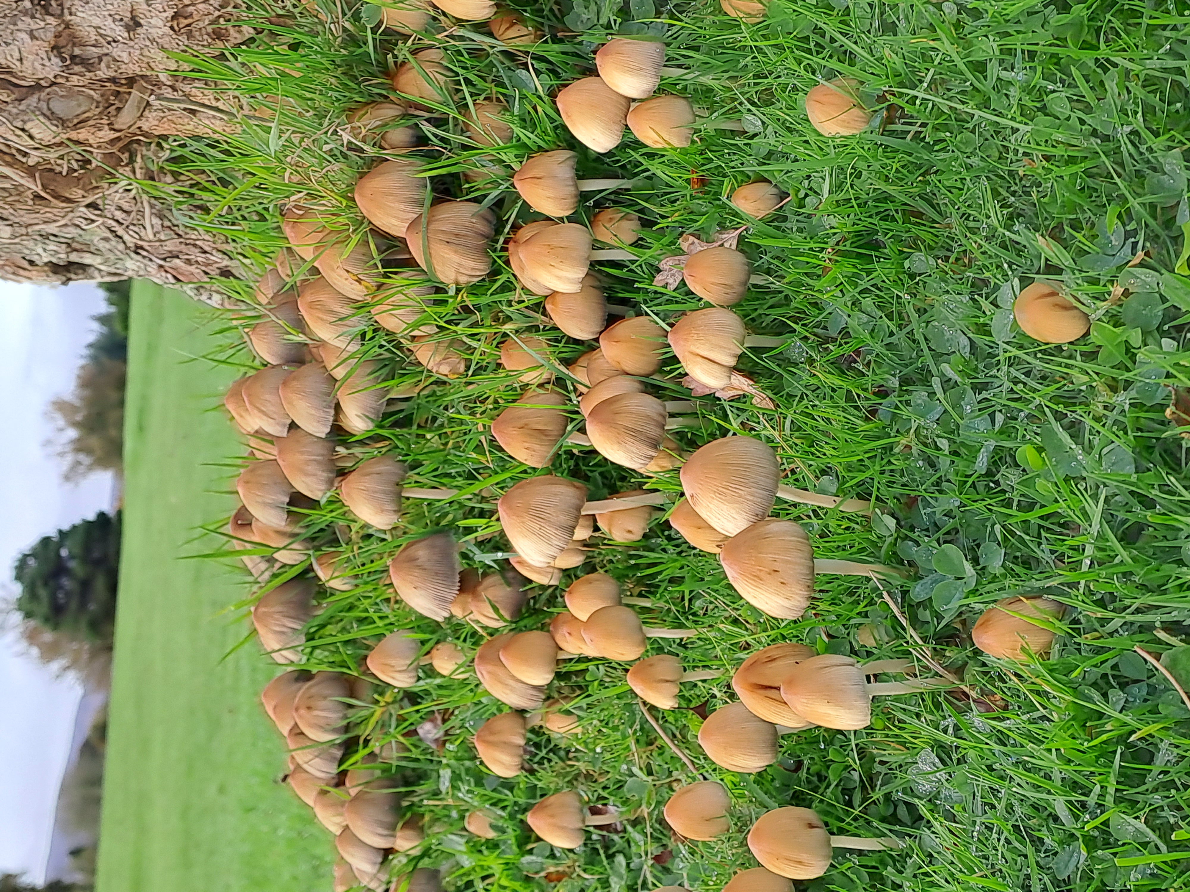 20221025_110012.jpg