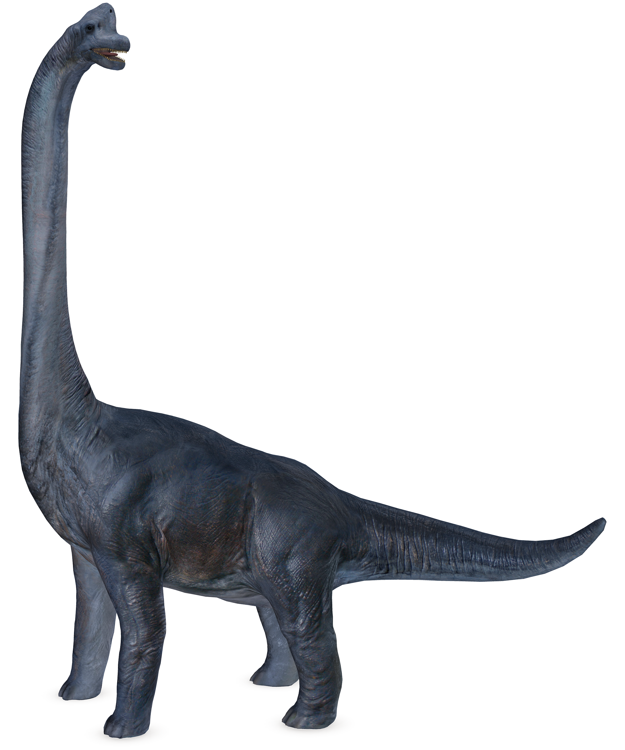 dinosaur-5674510.png