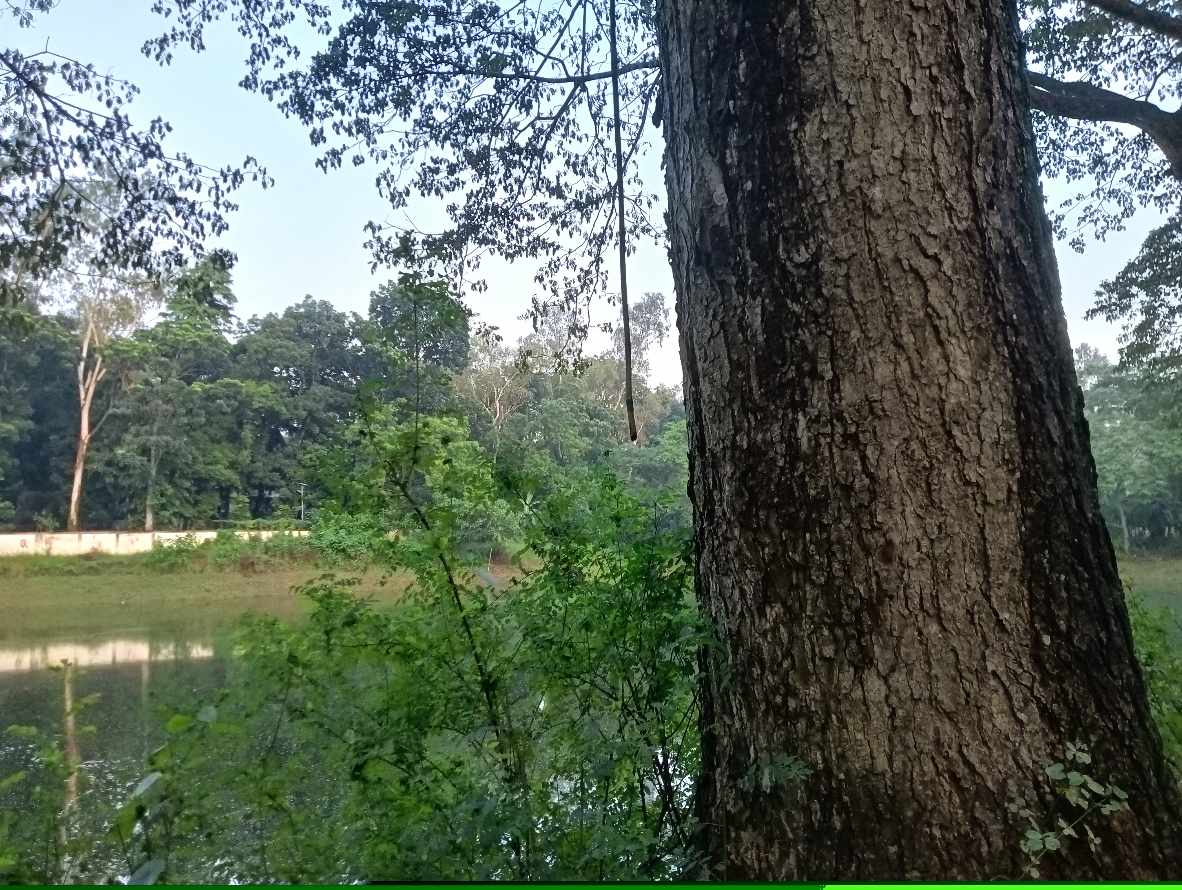 IMG20250717183235.jpg