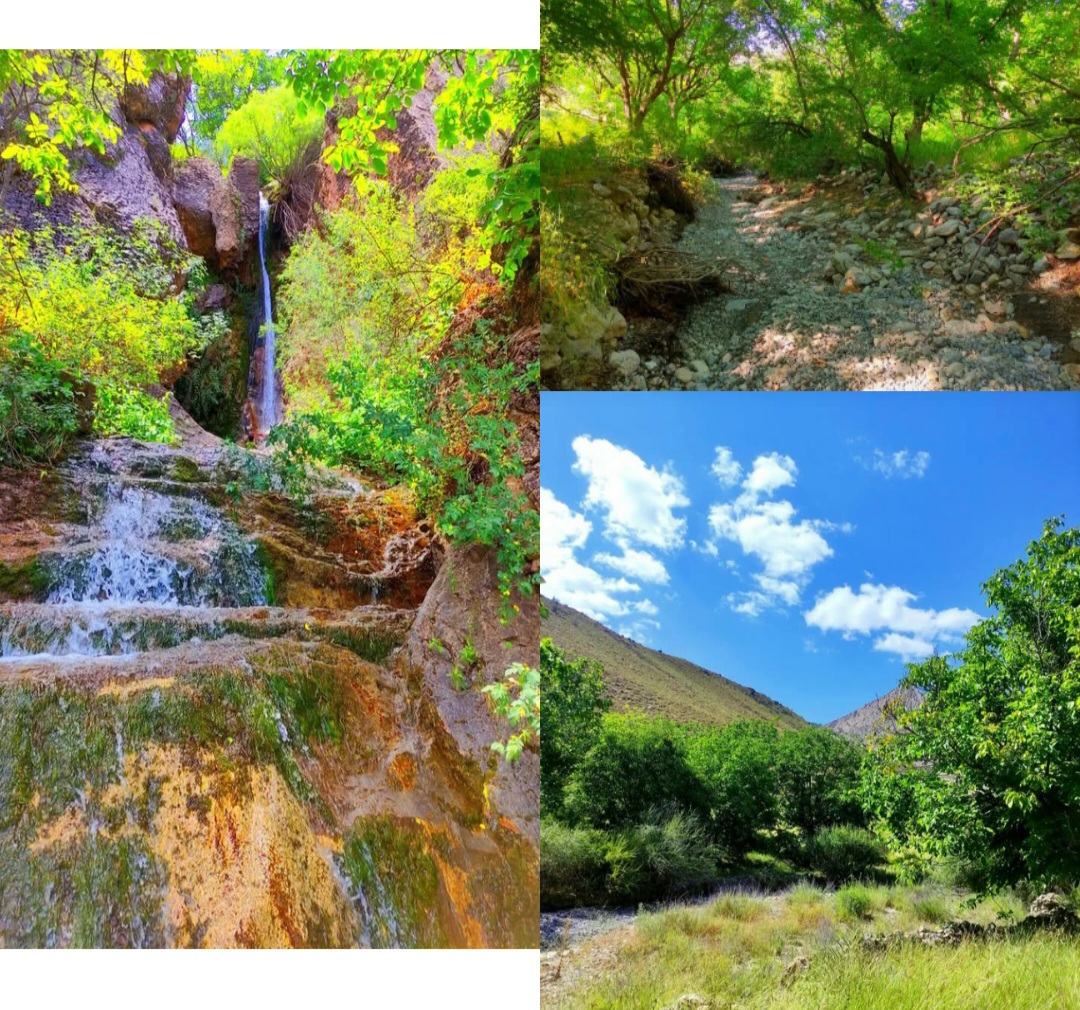PhotoCollage_1750565602442.jpg