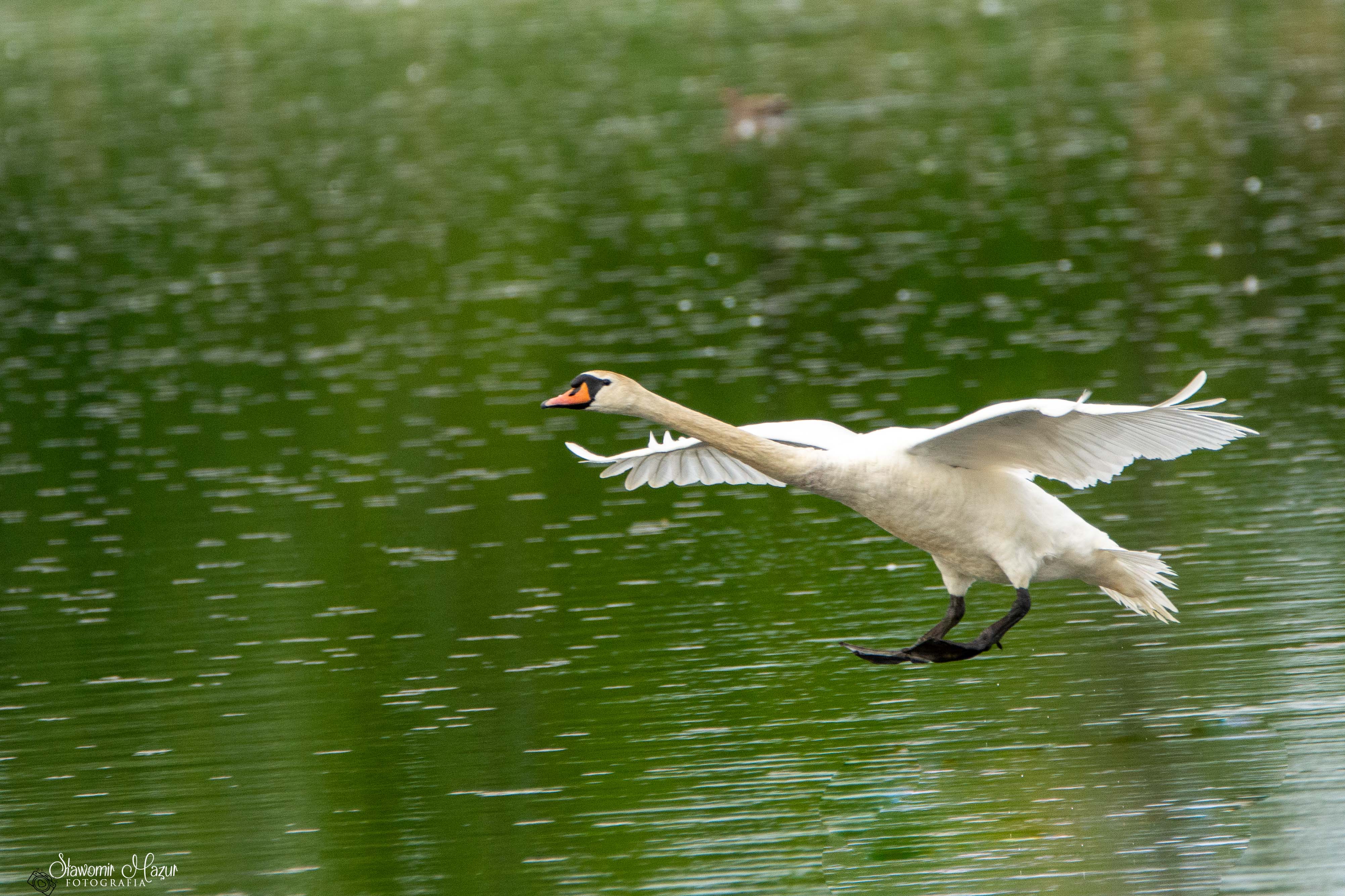 DSC_3802.jpg
