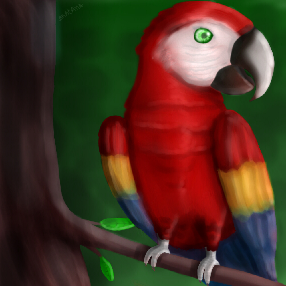 Drawing a semi-realistic macaw / Dibujando a una guacamaya semi realista. —  Hive