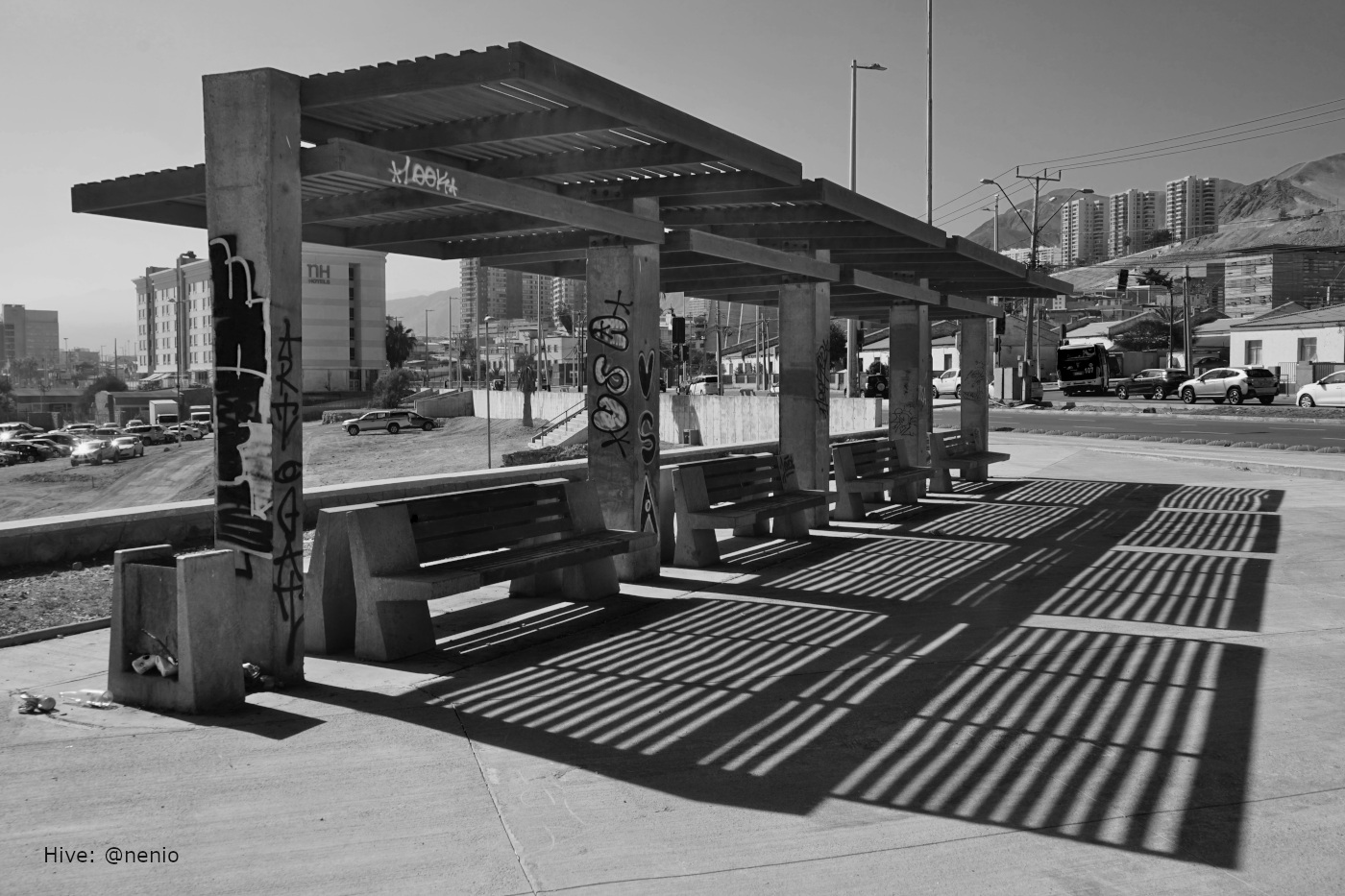 pergola-shadows-005-bw-1.jpg
