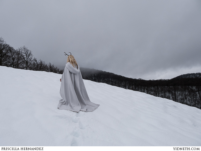 Deer Princess in the Snow - by Priscilla Hernandez (yidneth.com) - 1.jpg