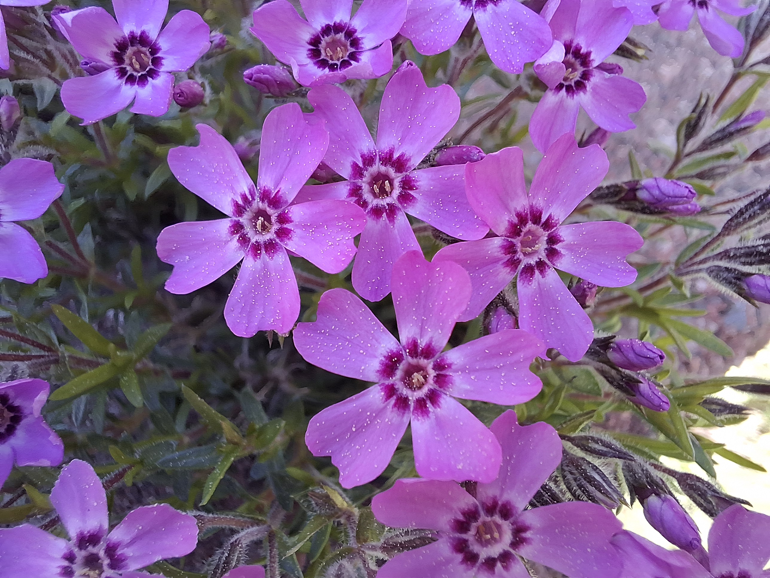 20240513_125753.jpg