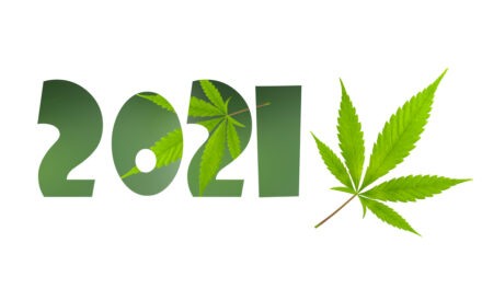 Cannabis-BPD-20201211-440x264.jpg