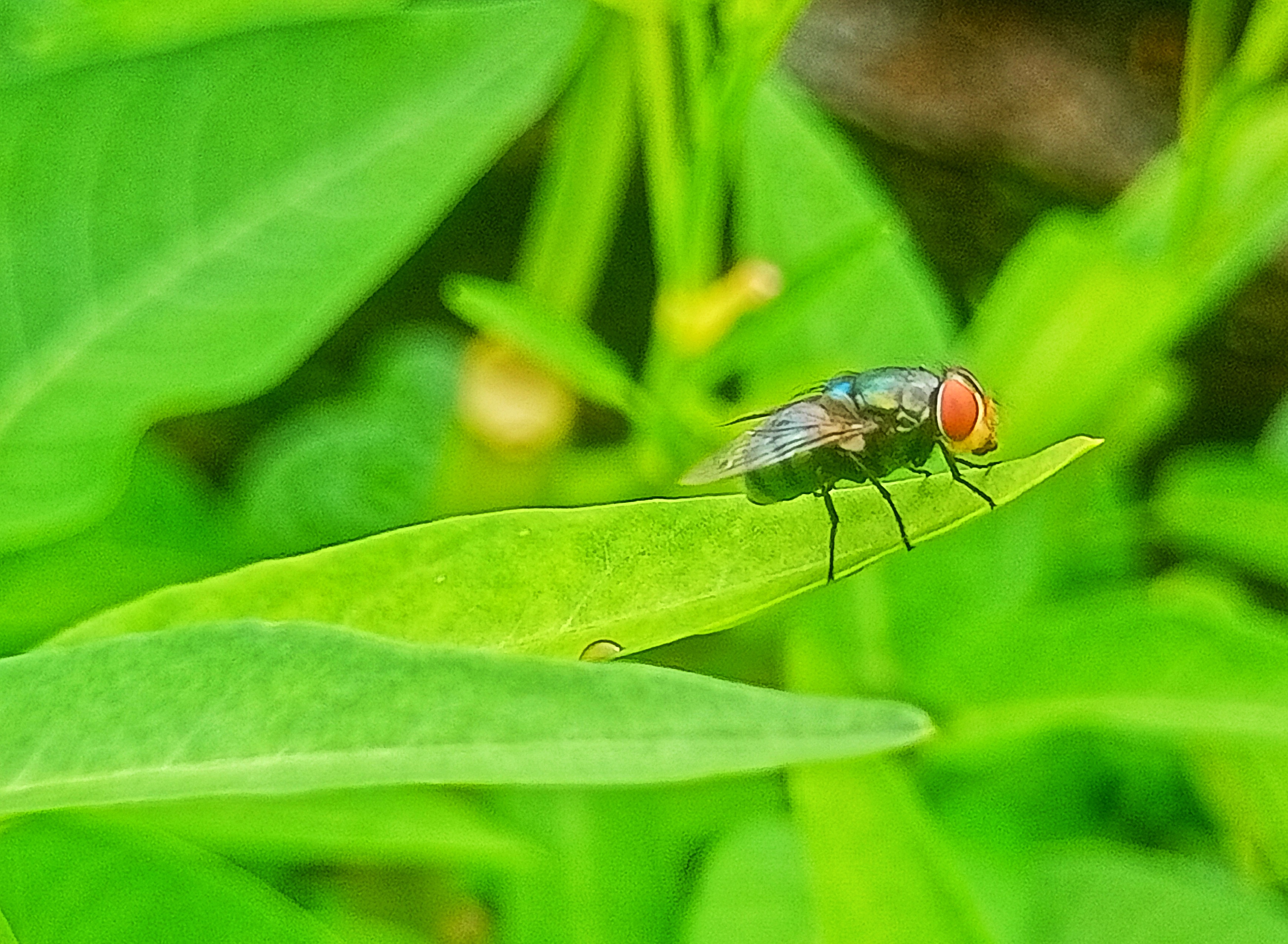 IMG20250720155233.jpg