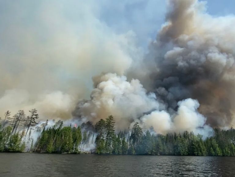 Forest Fires in Canada 🔥 We need Rain 🌧