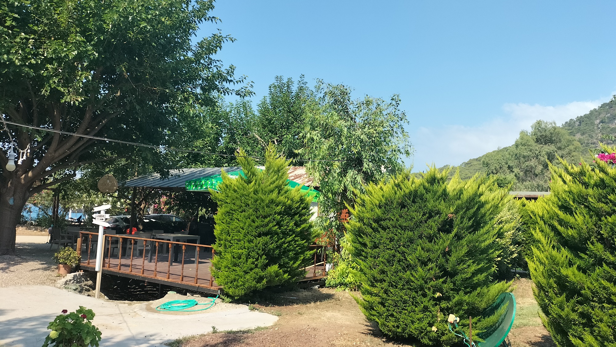 IMG20250714101244.jpg