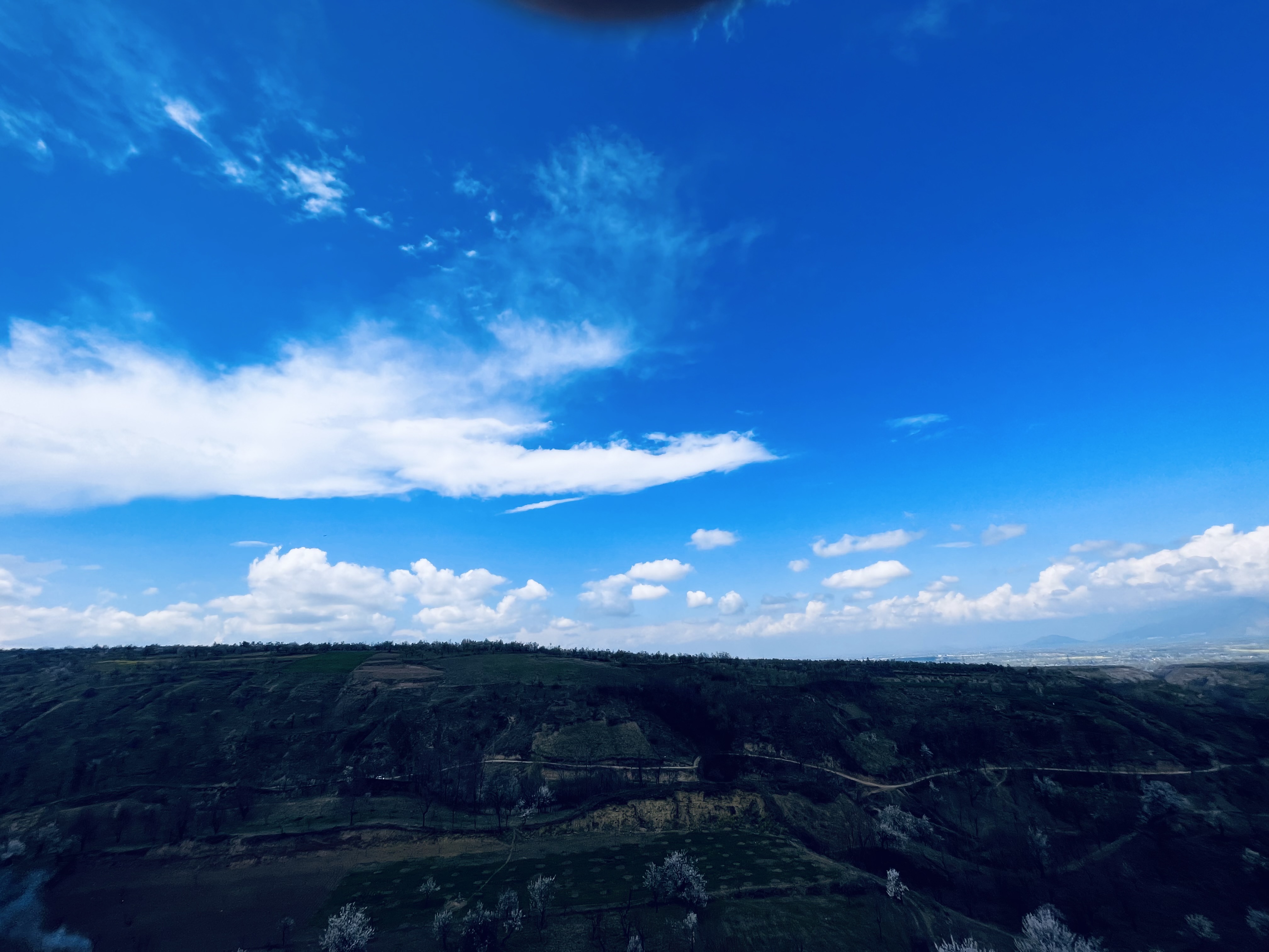 IMG_1935.jpeg