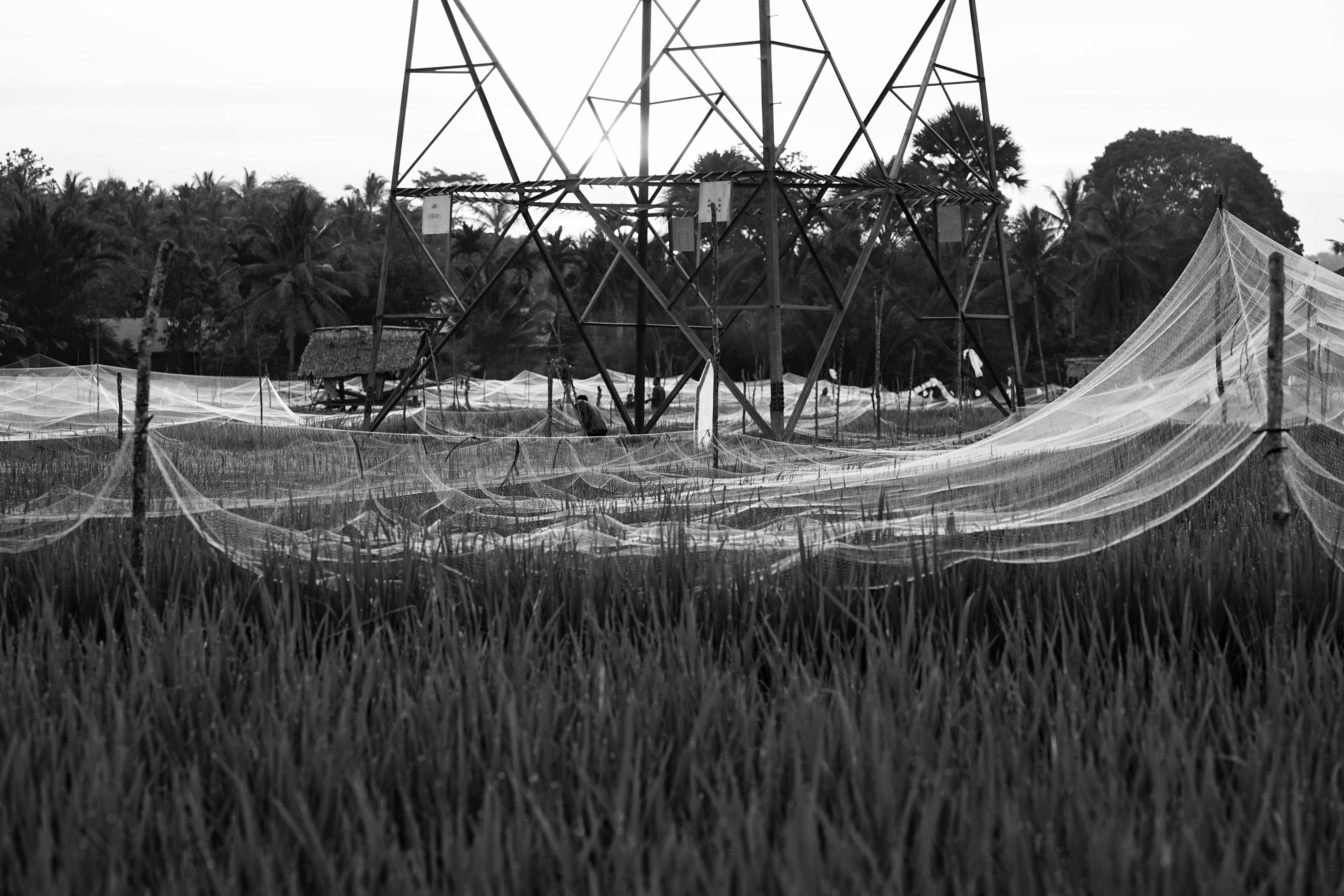 DSC02022-02.jpeg