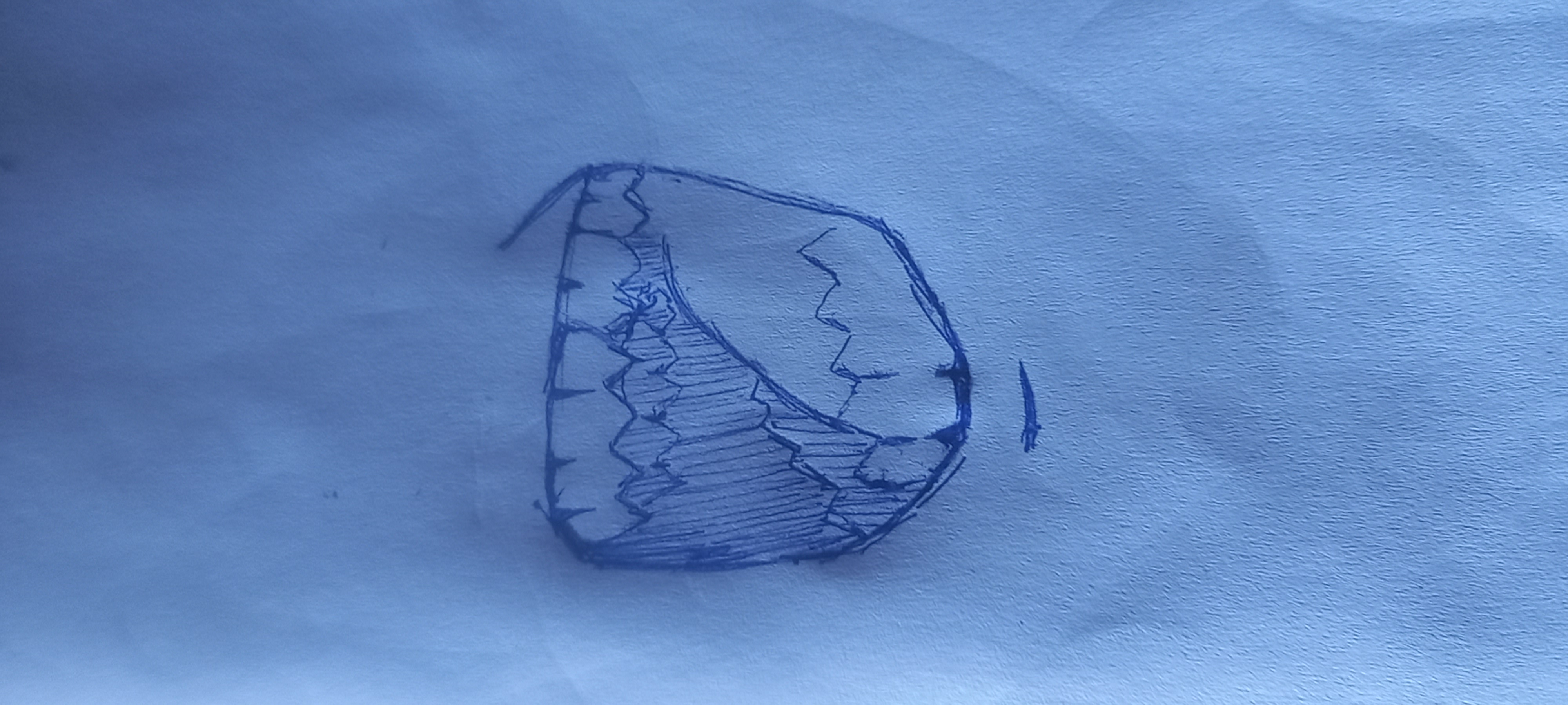 20240205_163325.jpg