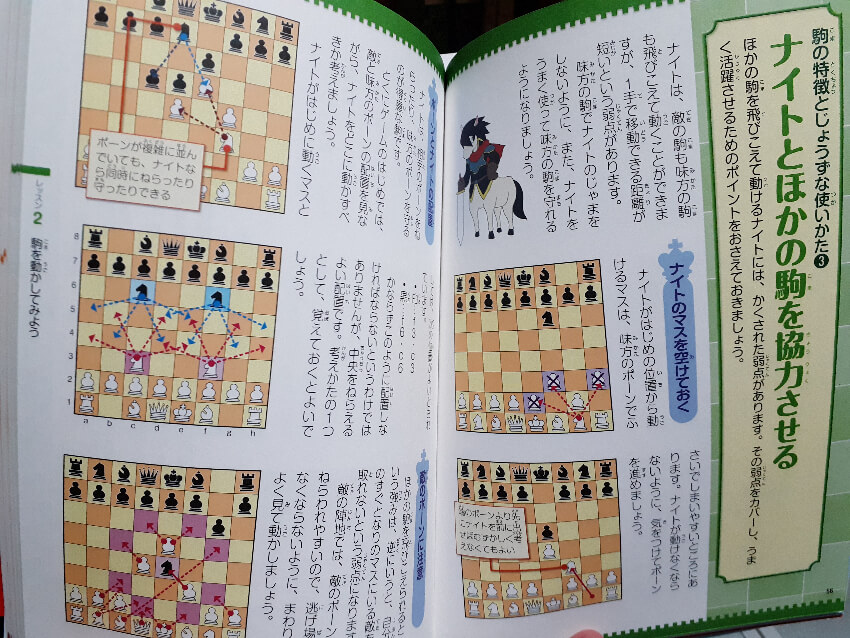 japanesechessbook4.jpg