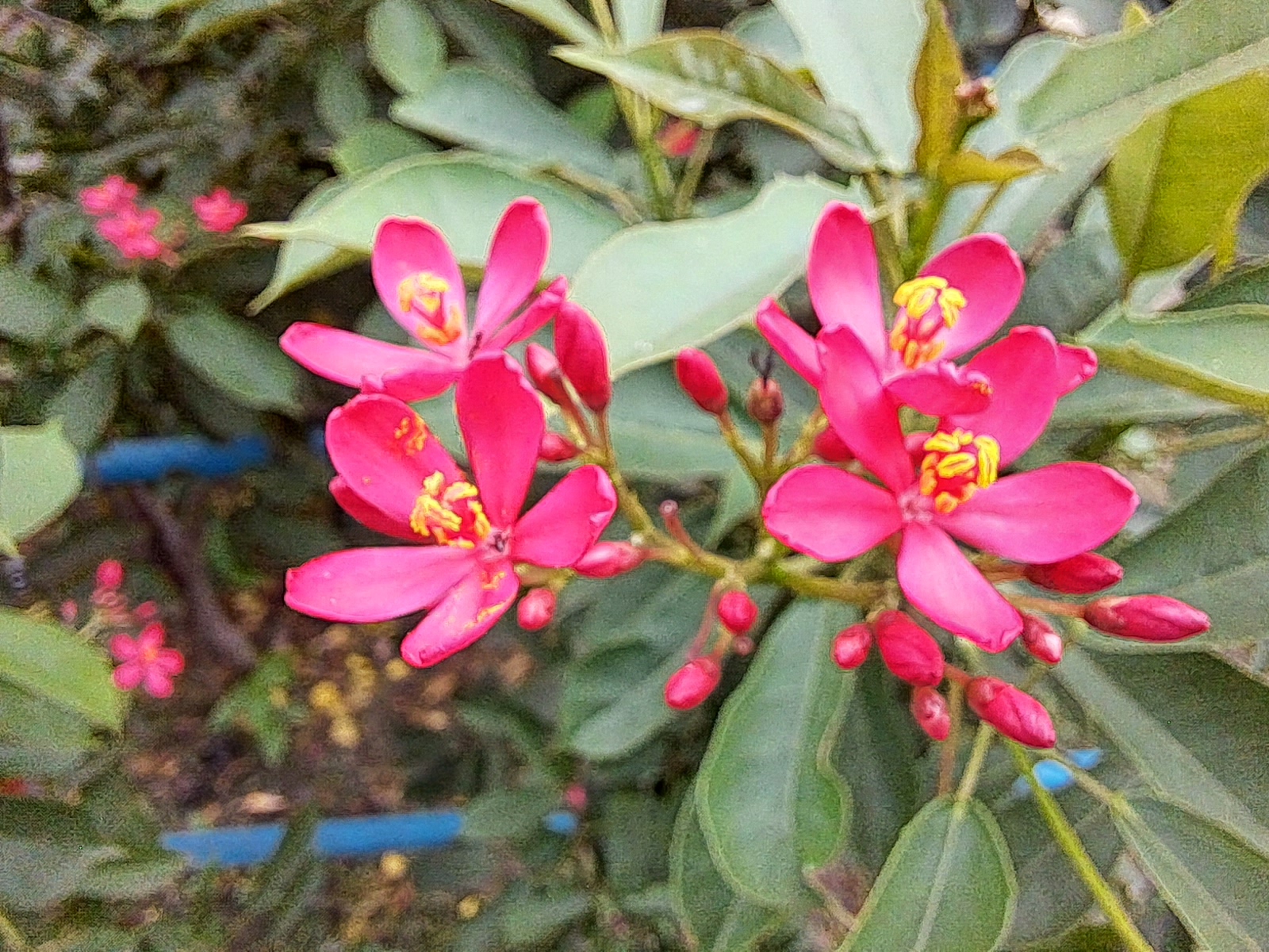 20220930_135022.jpg