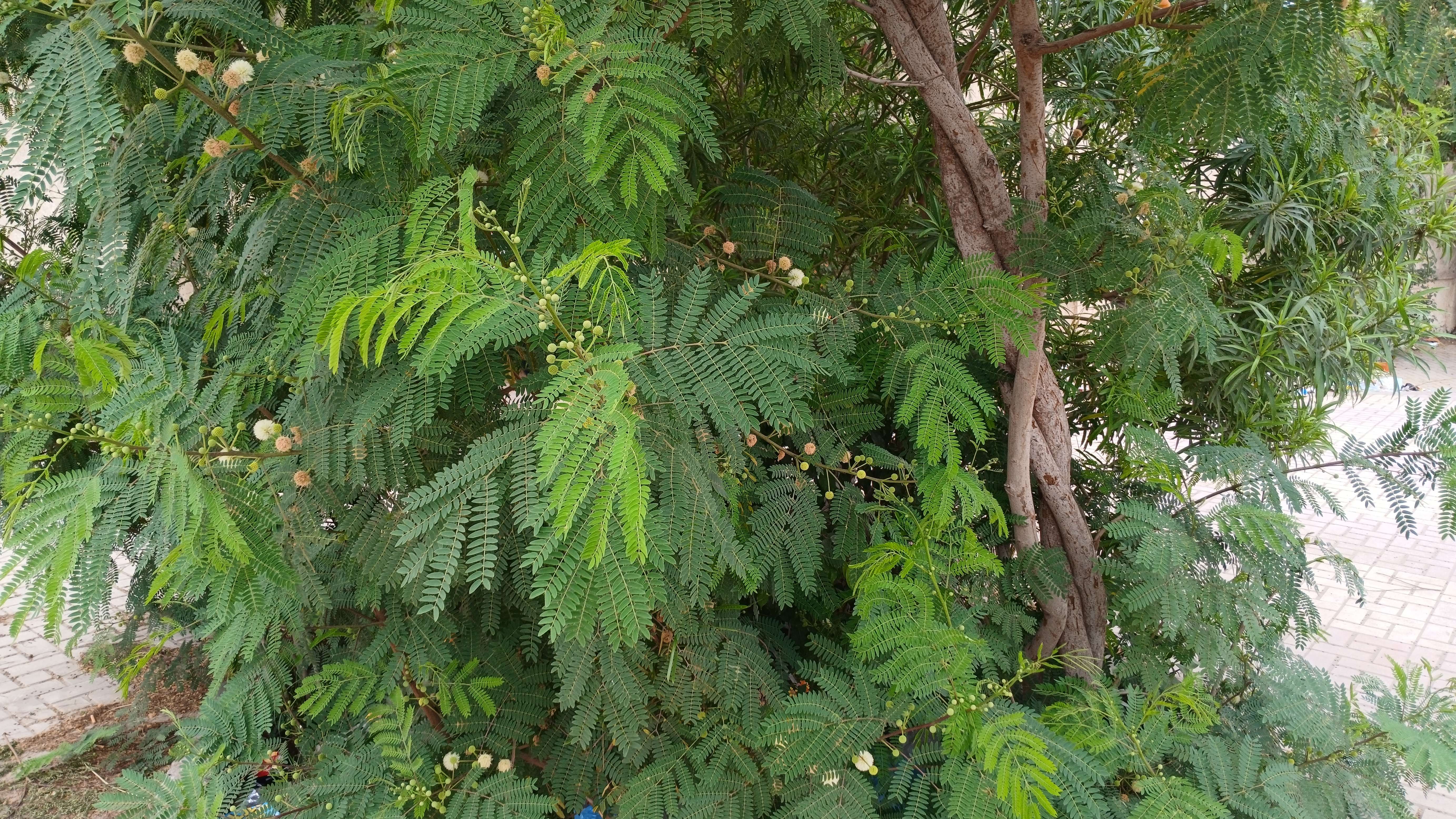 20250423_120909_copy_5532x3113.jpg