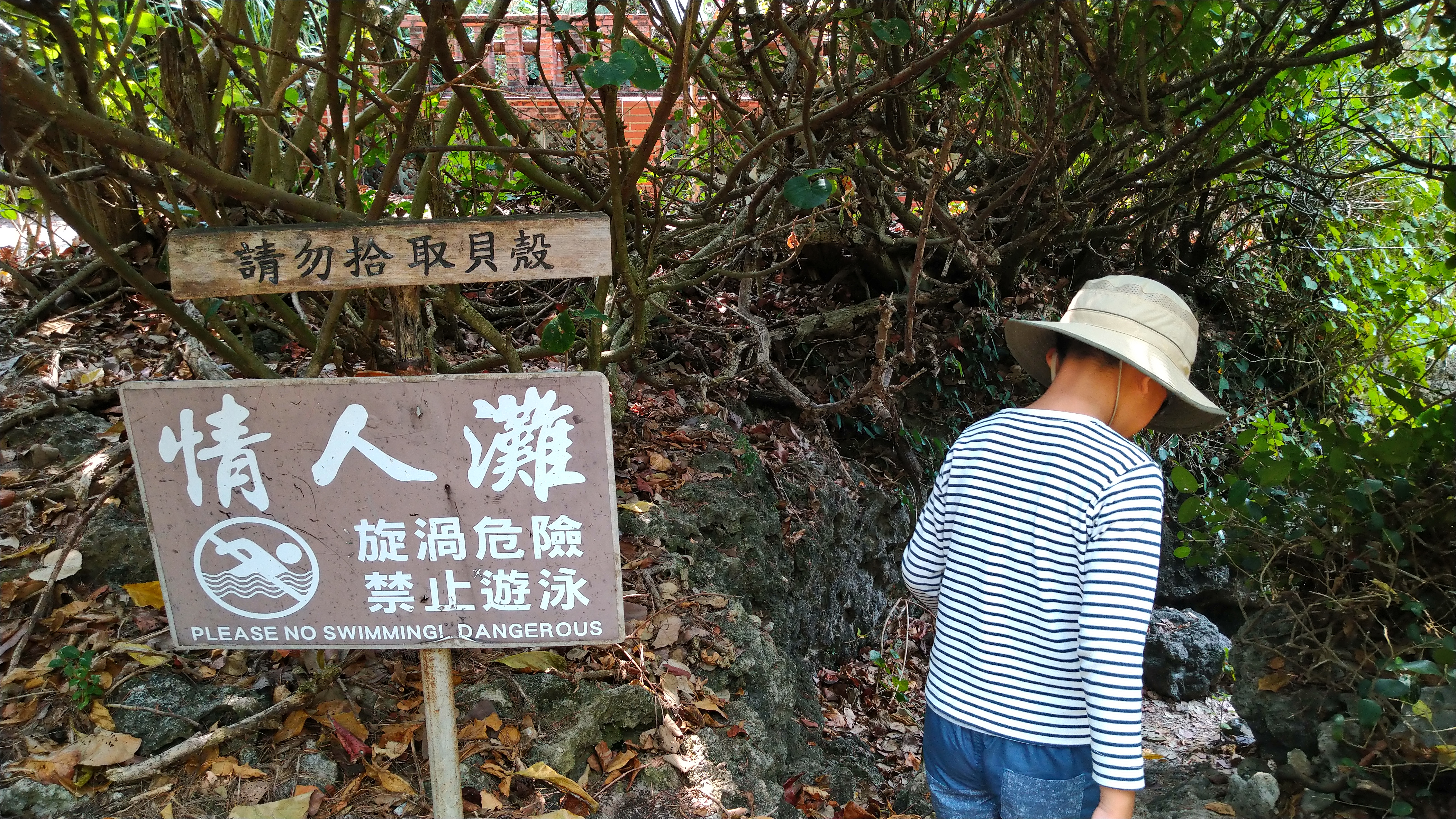 DSC_8106.JPG