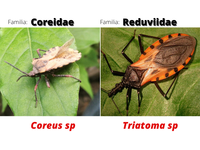 Agregar un título(5).png