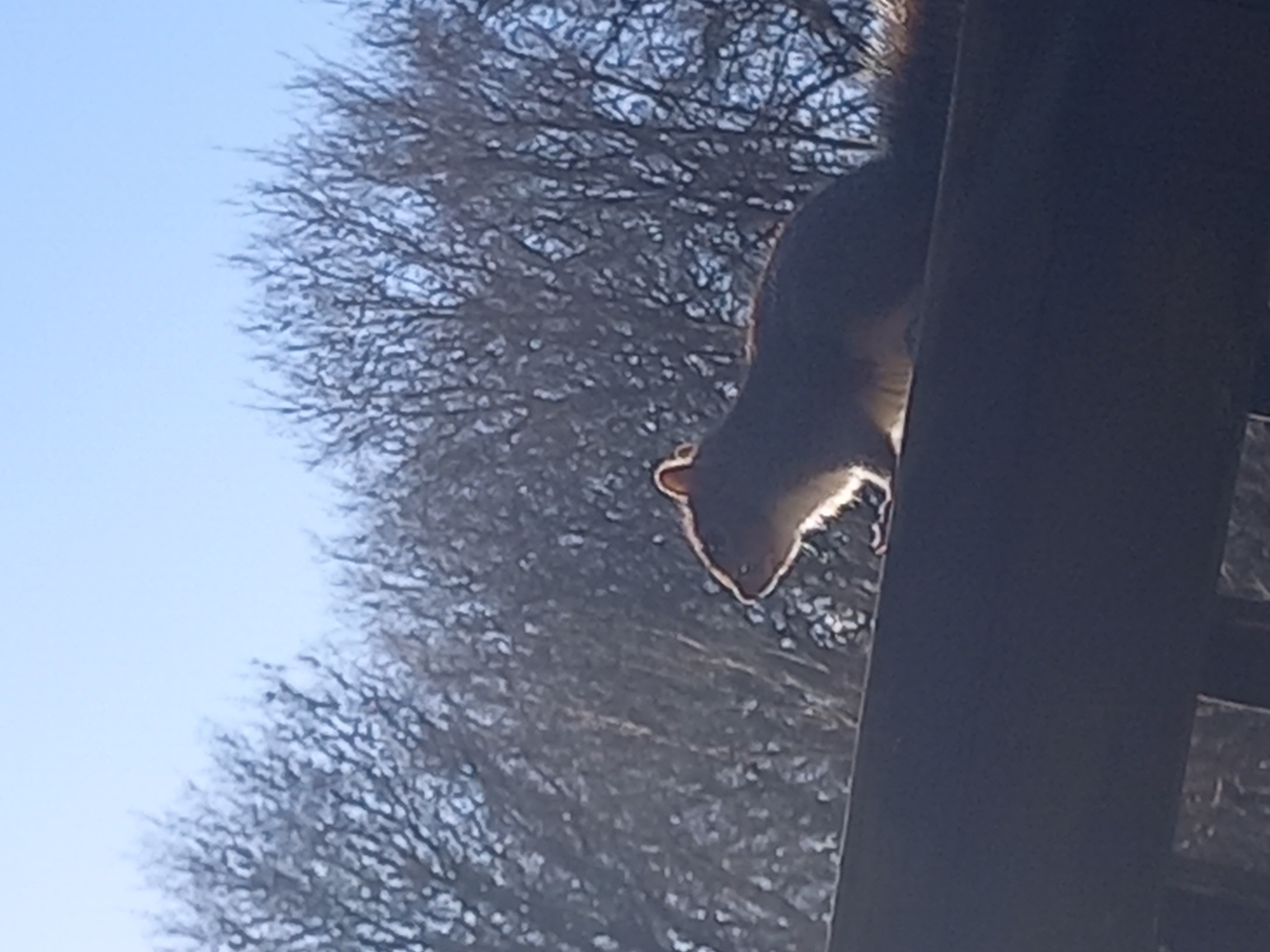 20240126_112316.jpg