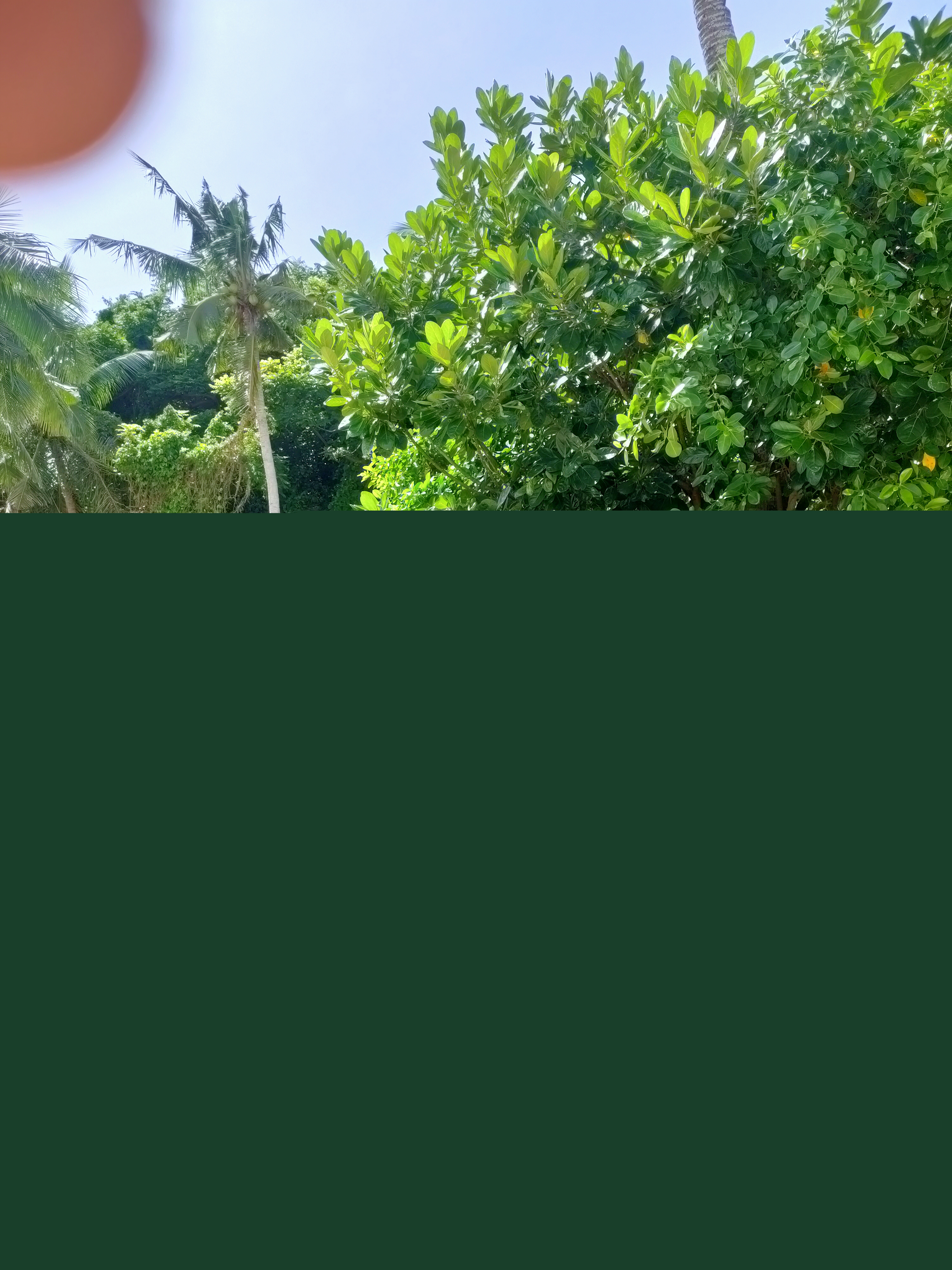 IMG20220802093919.jpg
