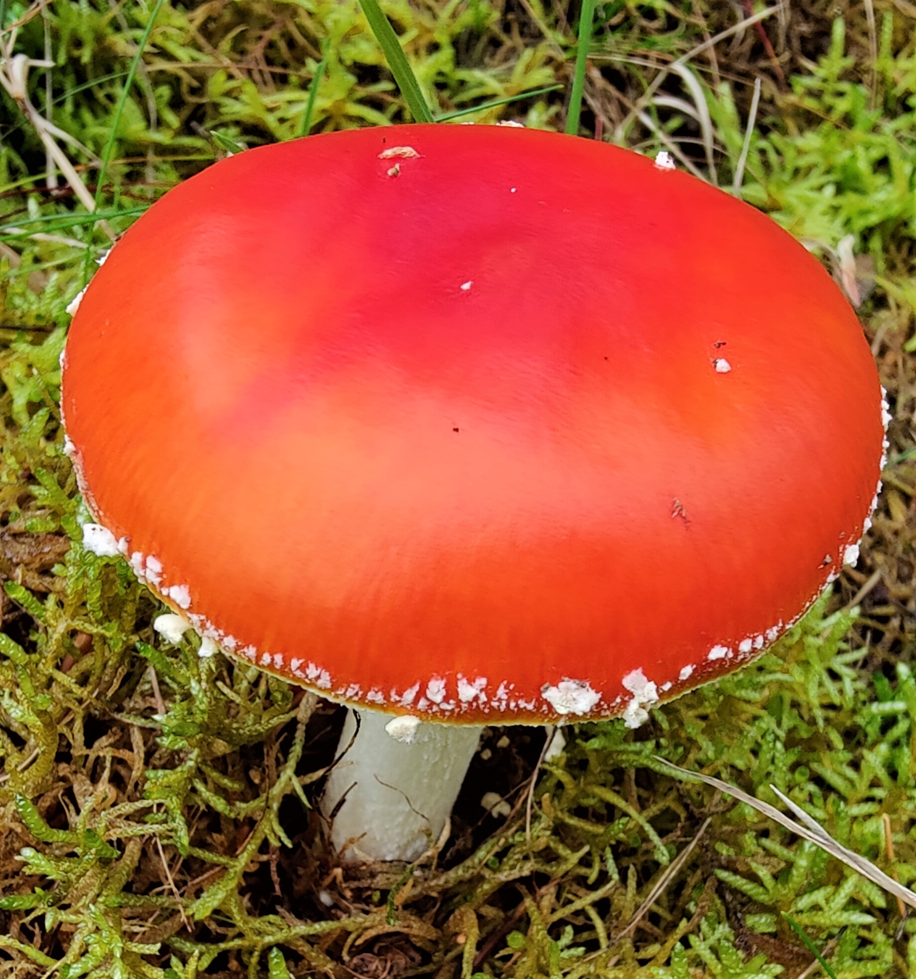 IMG20221023122607.jpg