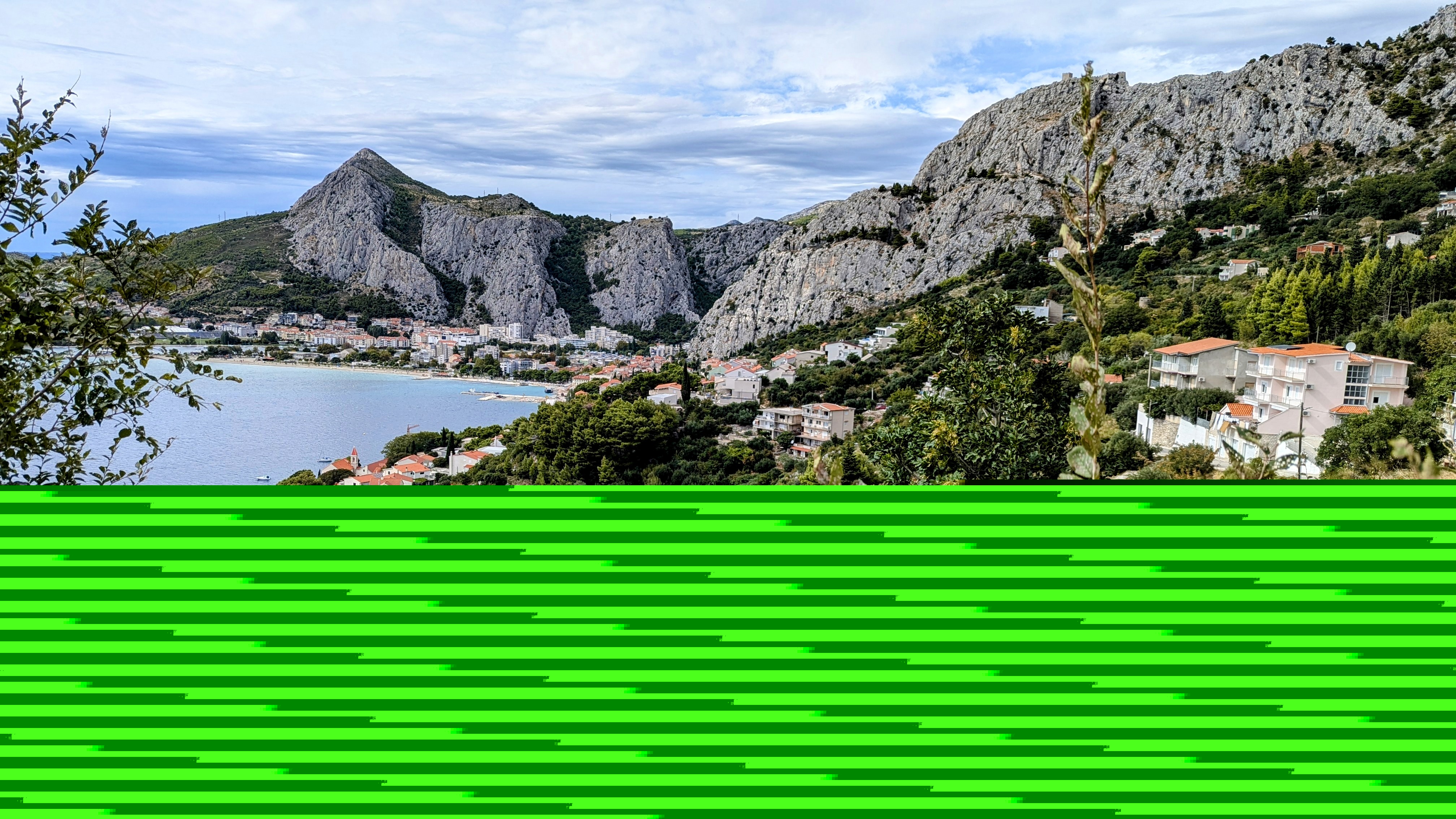 1000060084.jpg