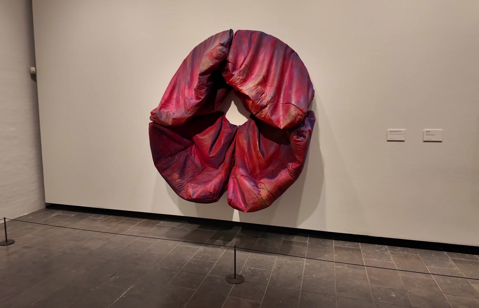 263.jpg