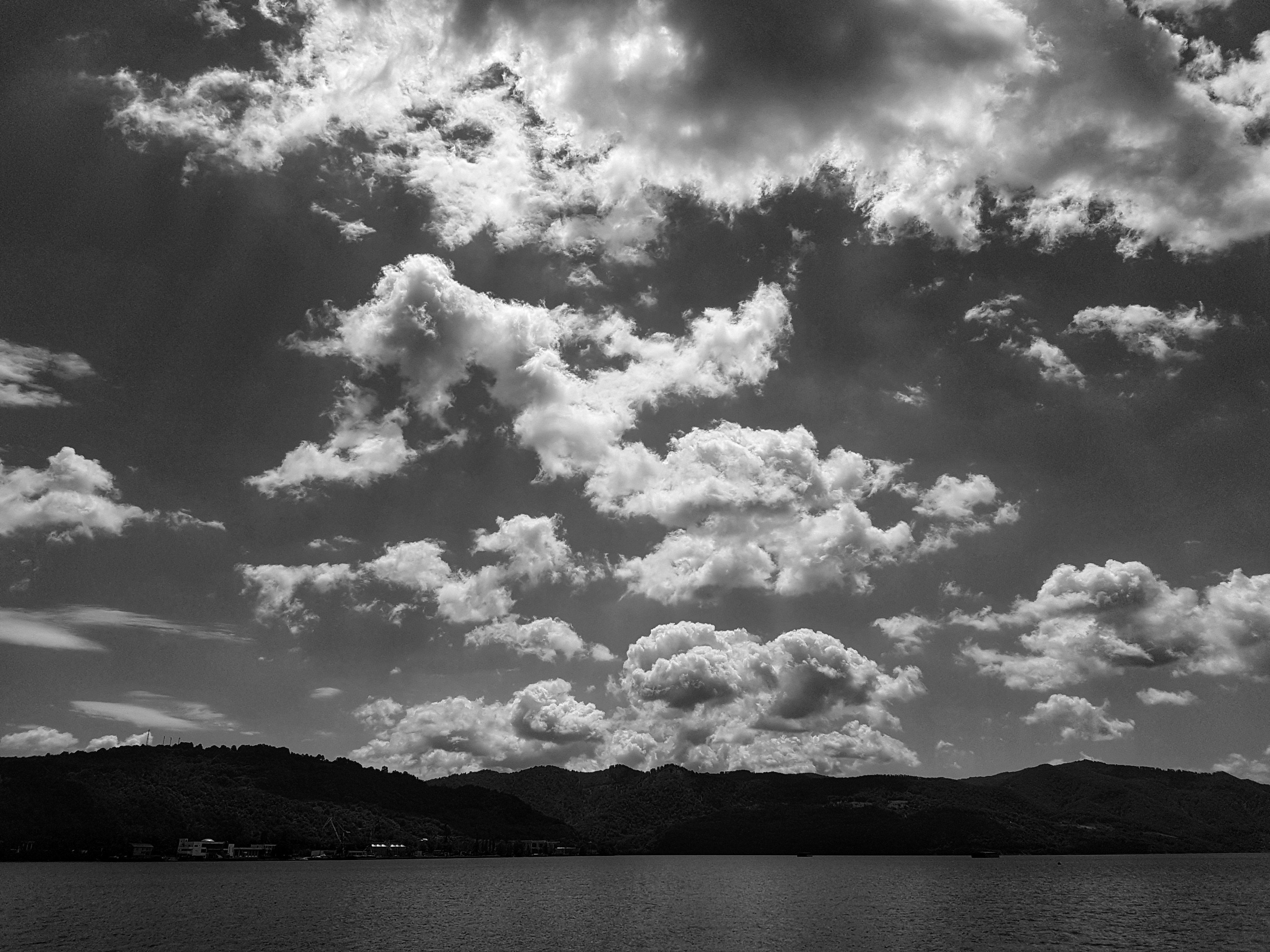 20200619_121514-01.jpeg