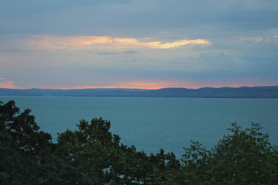 IMG_7038.jpg