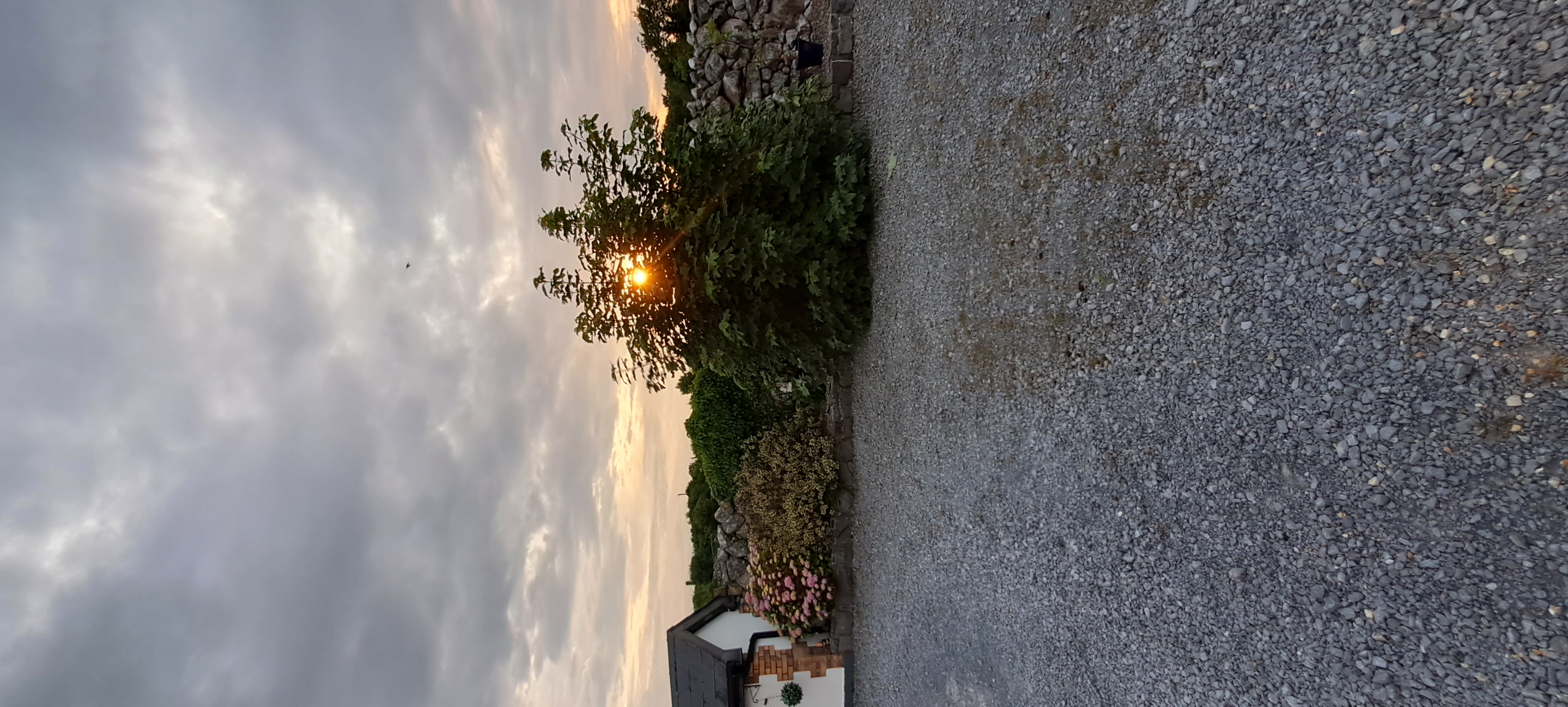 20230615_210606.jpg