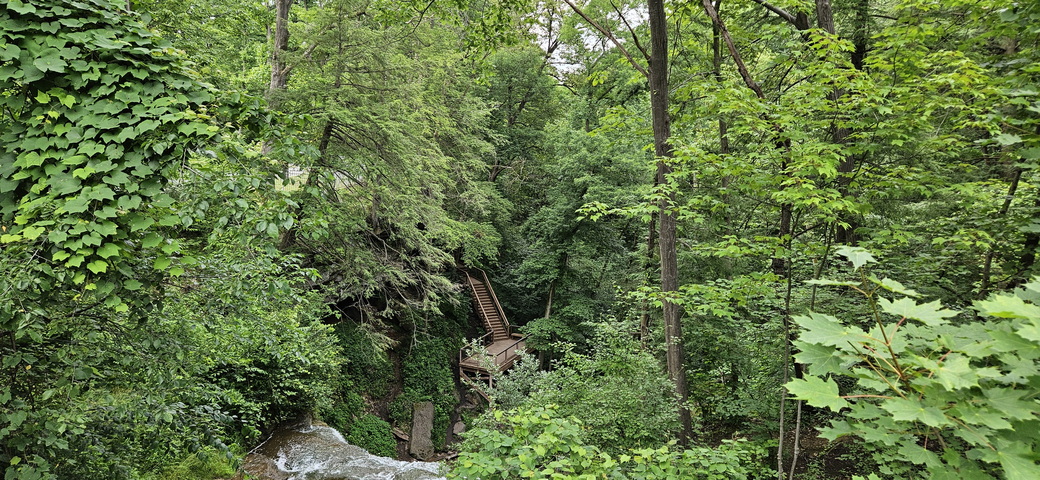 20250628_191217.jpg