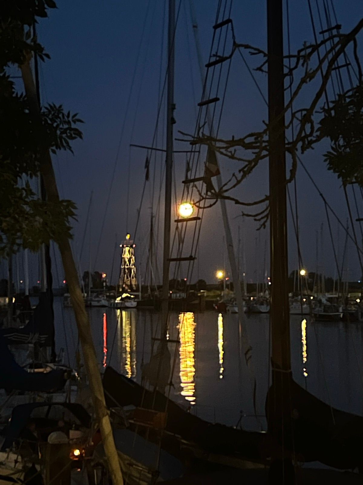 footer_image_15411601072.png