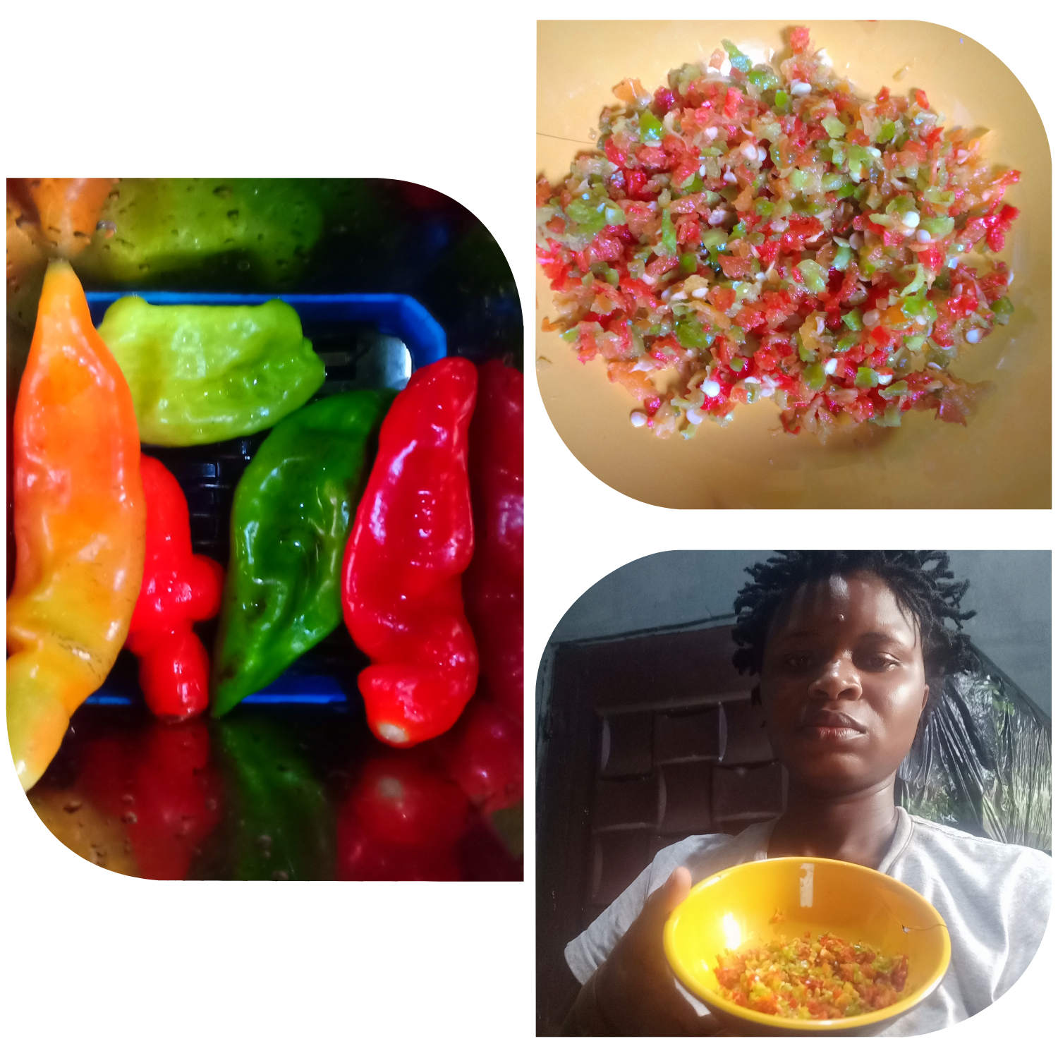 Collage 2025-05-29 23-10-30.png