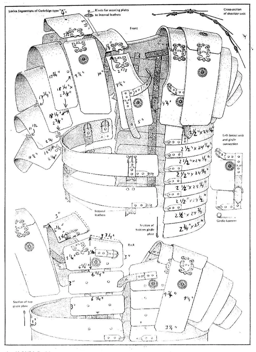 scale_1200 (6).webp