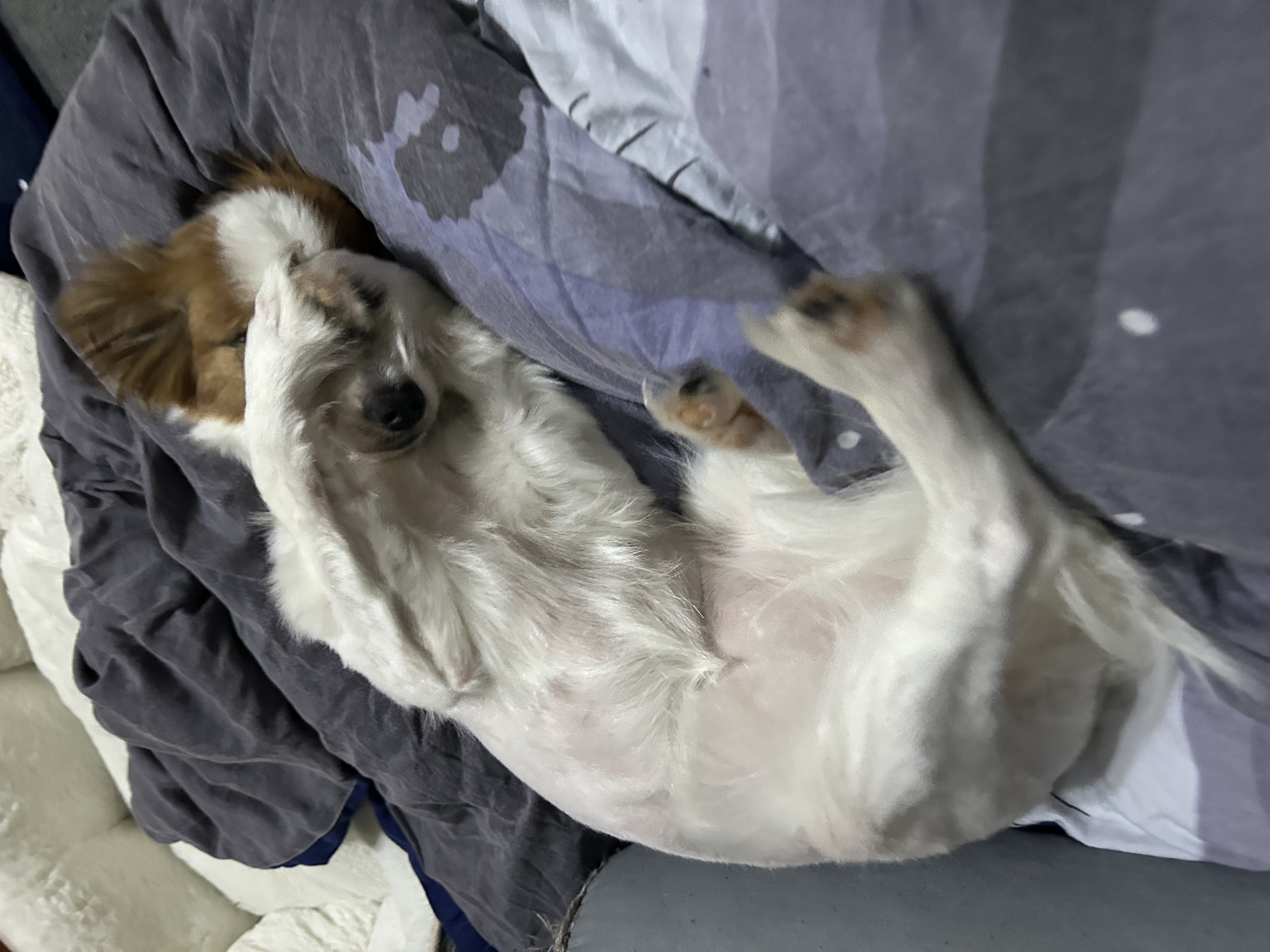 IMG_5199.jpeg