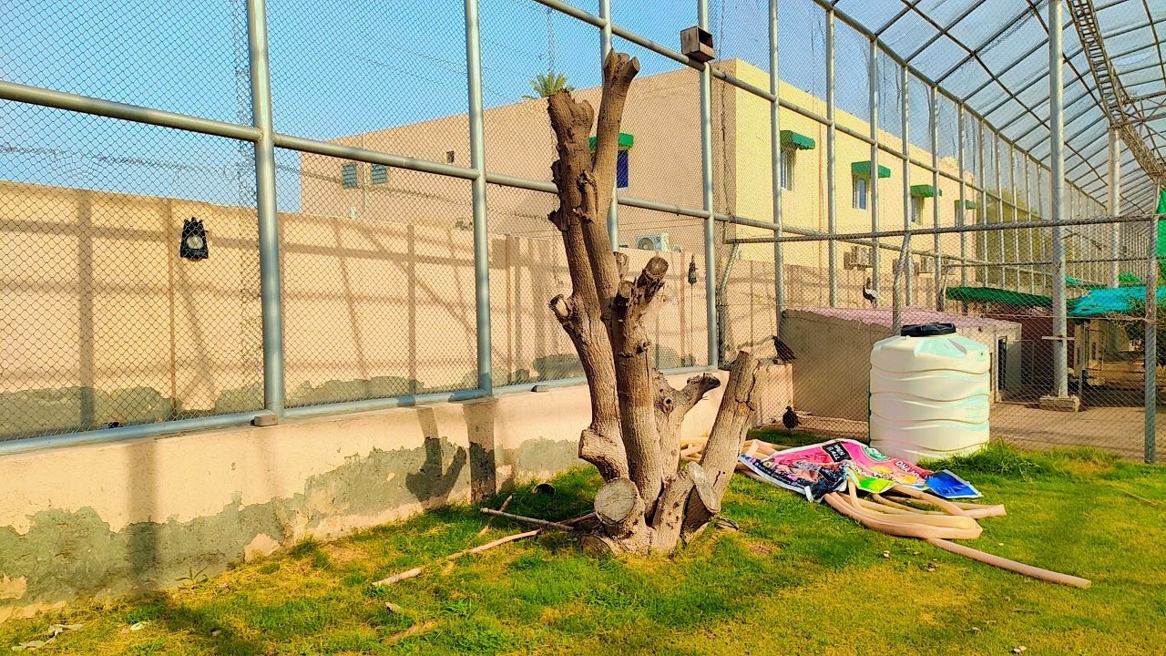 IMG_20230828_155425.jpg
