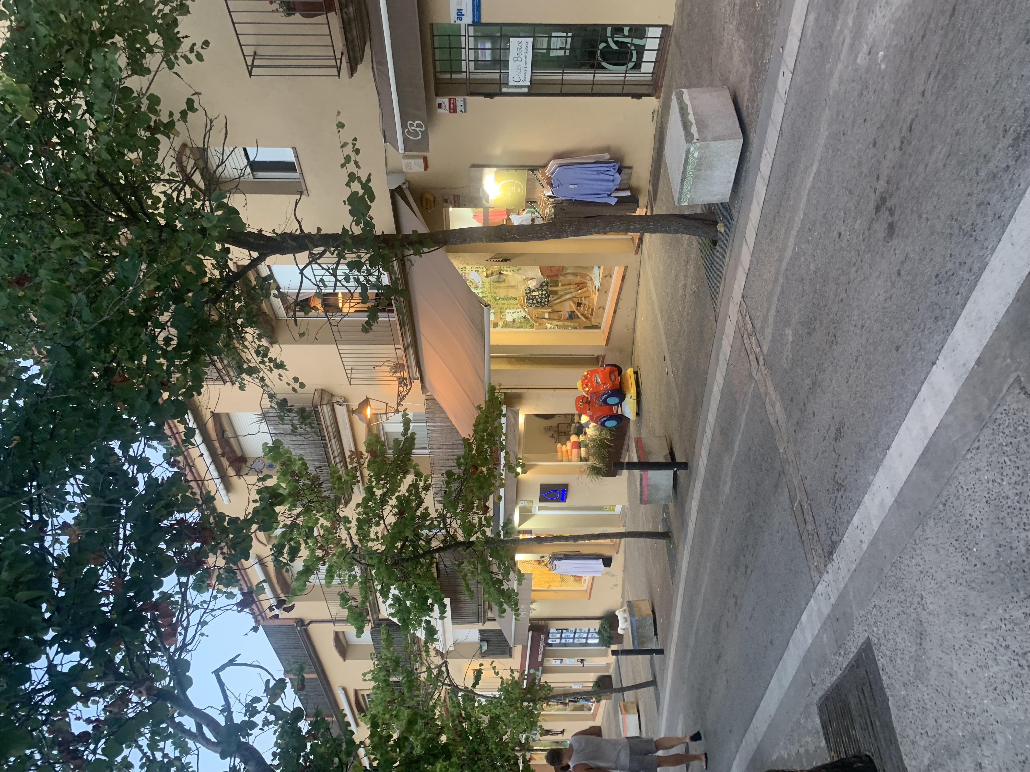 IMG_2031.jpeg