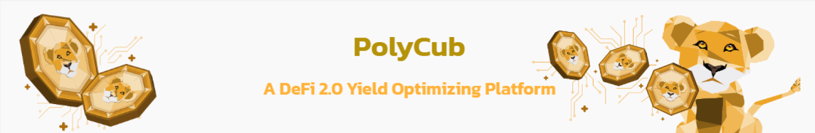 polycub.png