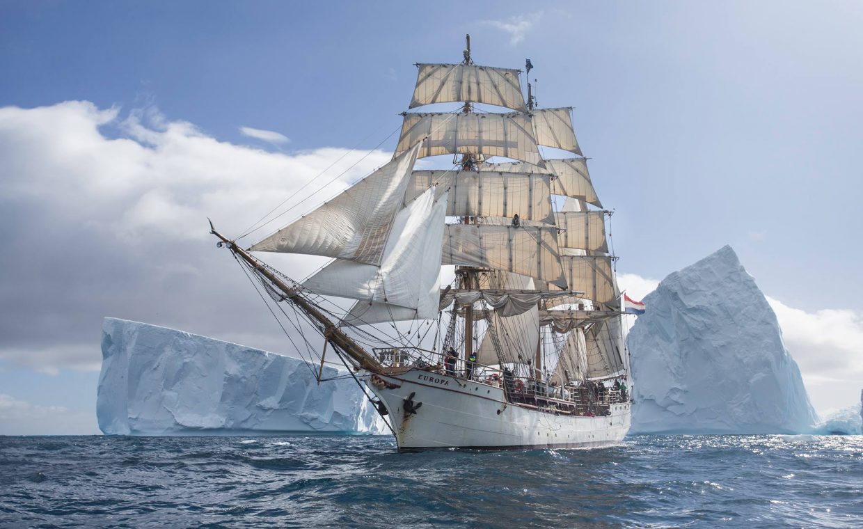bark-europa.jpg