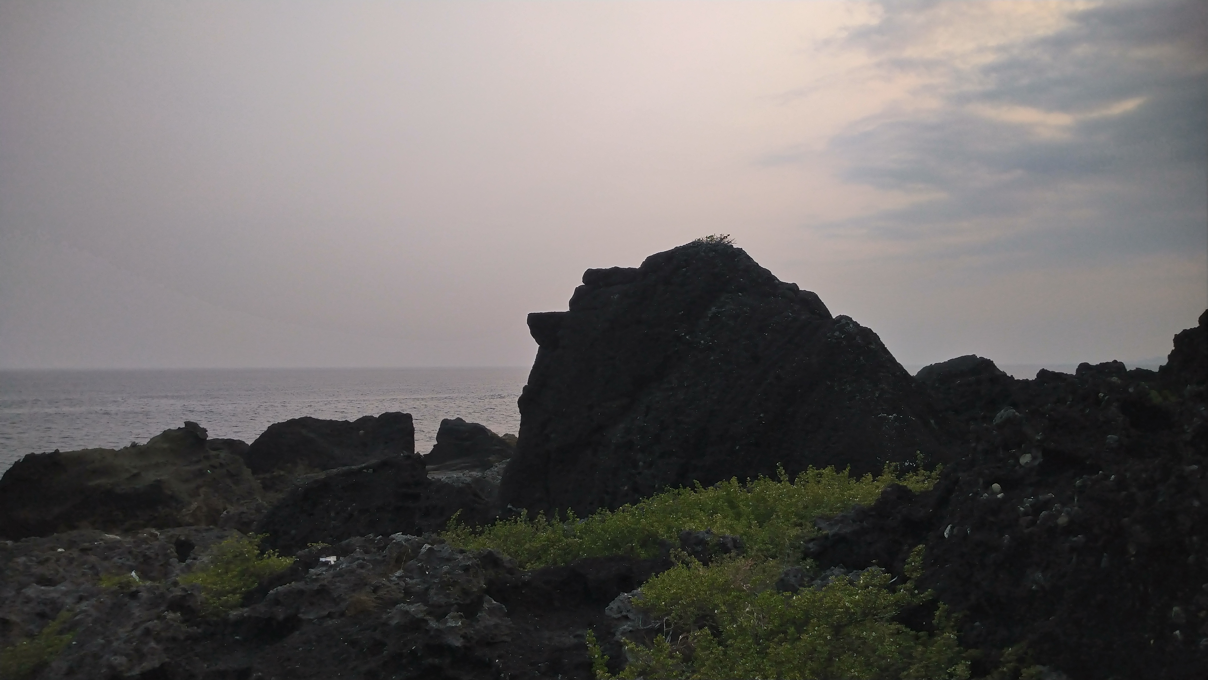 DSC_8014.JPG