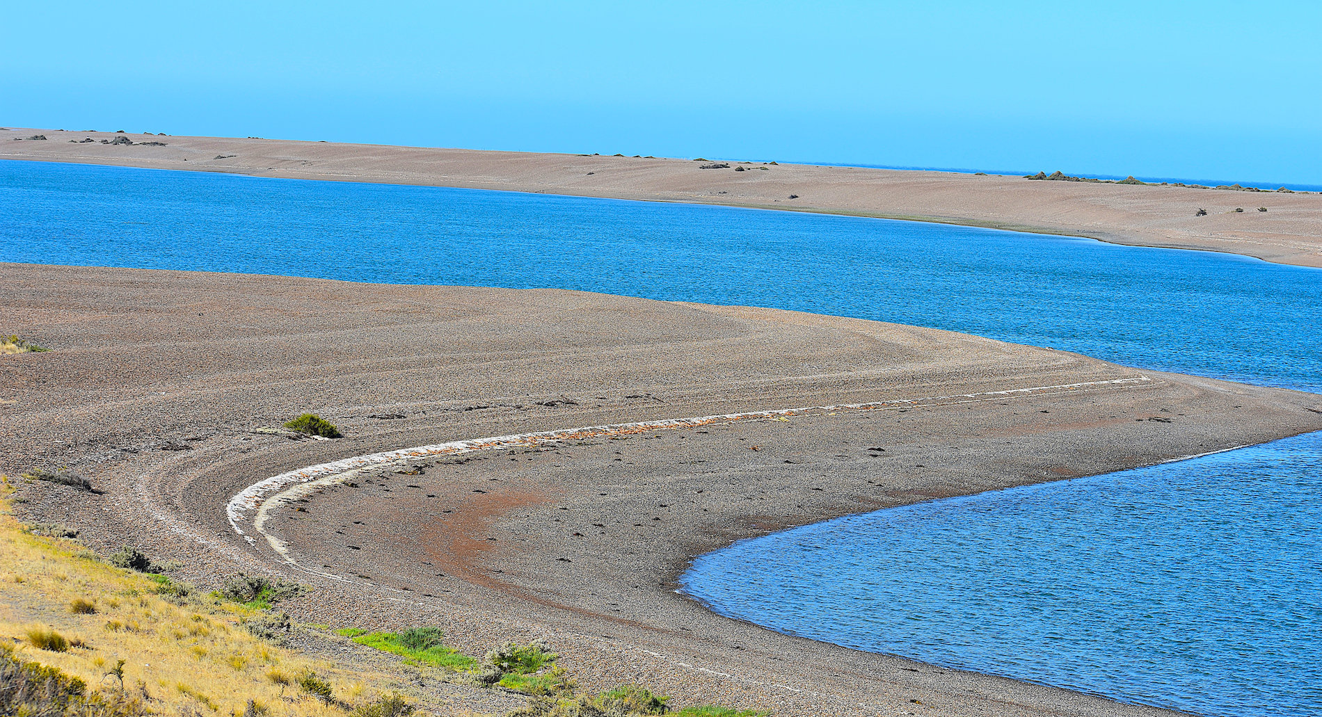 Madryn-53.jpg
